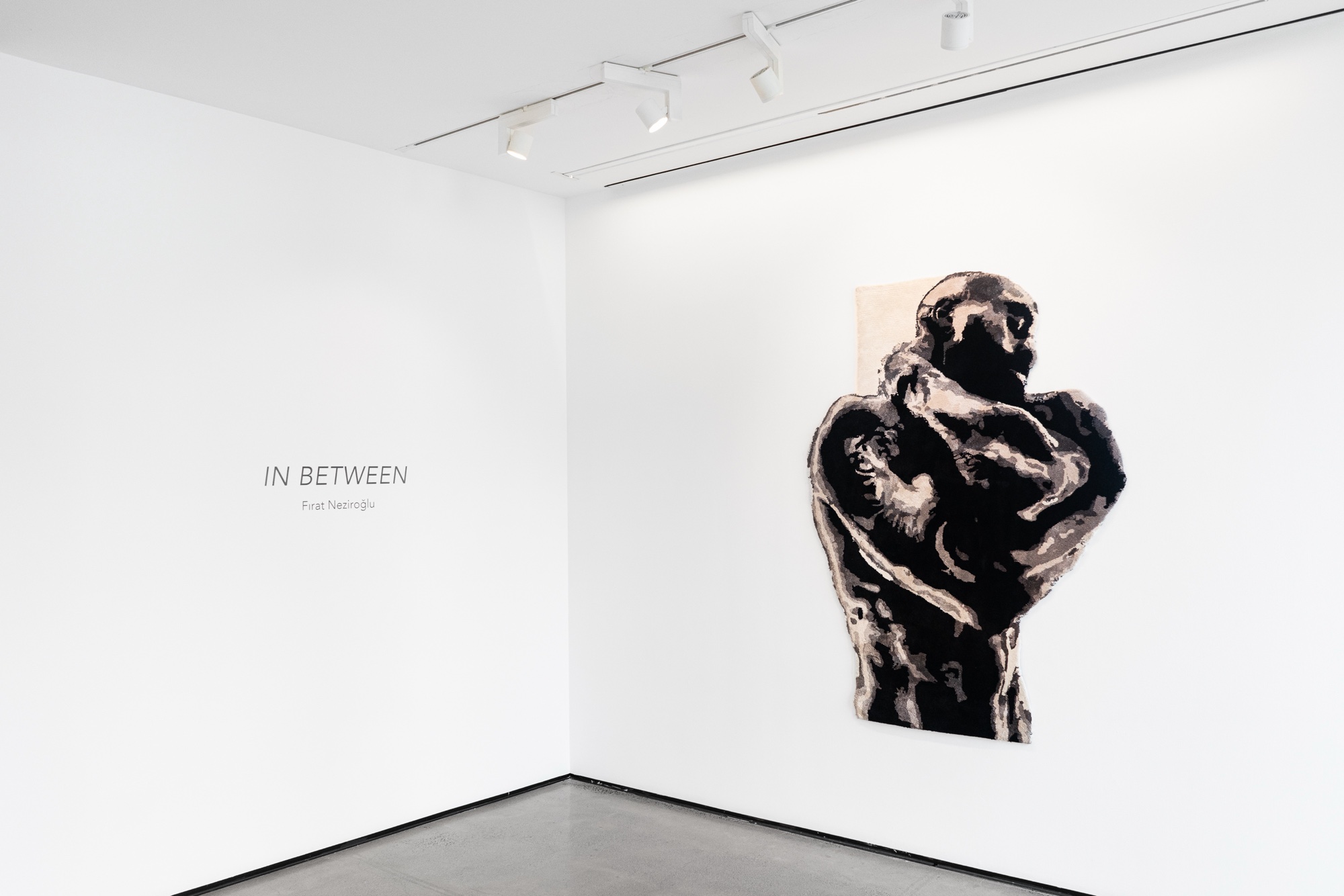 Fırat Neziroğlu, In Between at C24 Gallery, photo 2