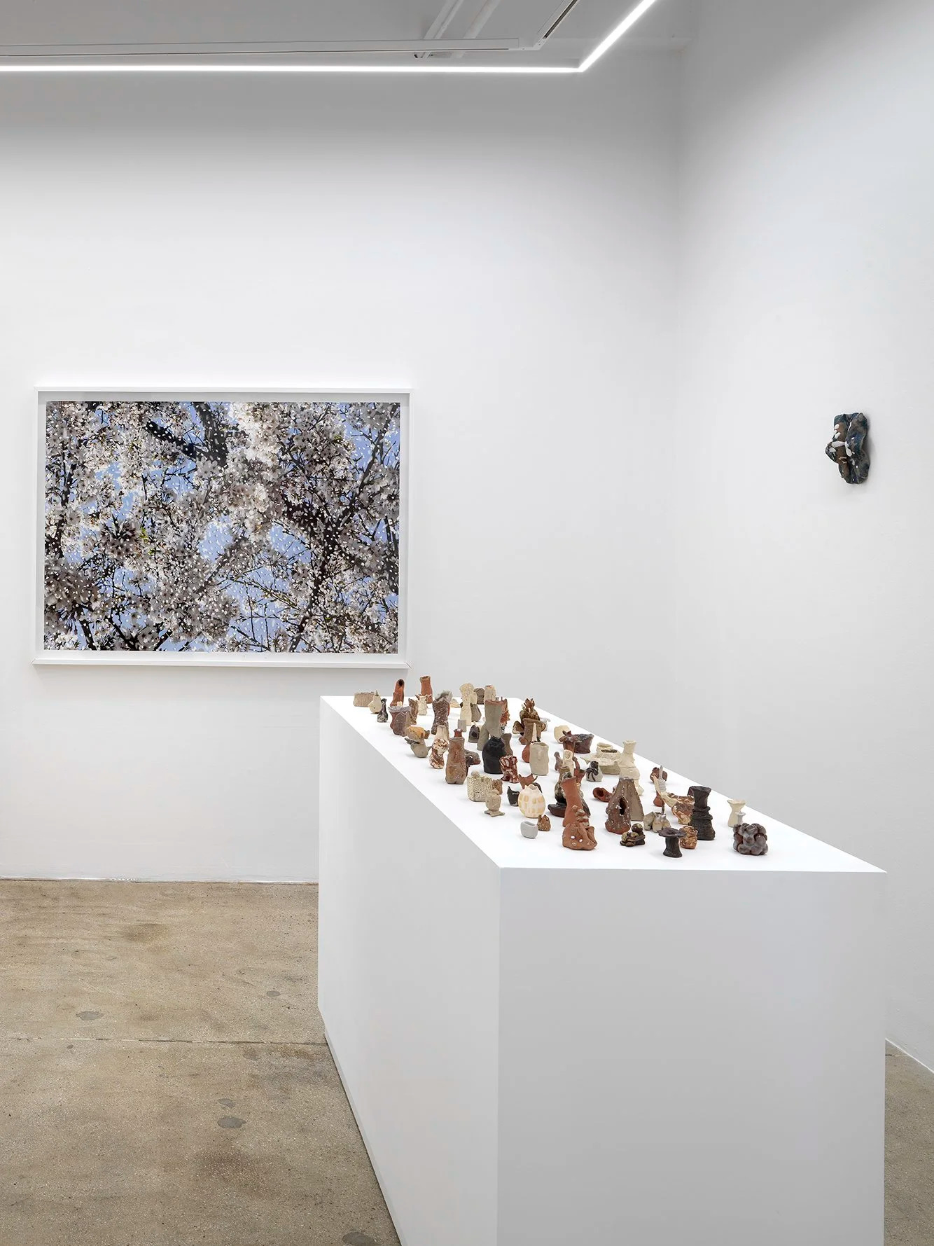 Yuki Tawada, Yuki Tawada at Alison Bradley Projects, photo 7