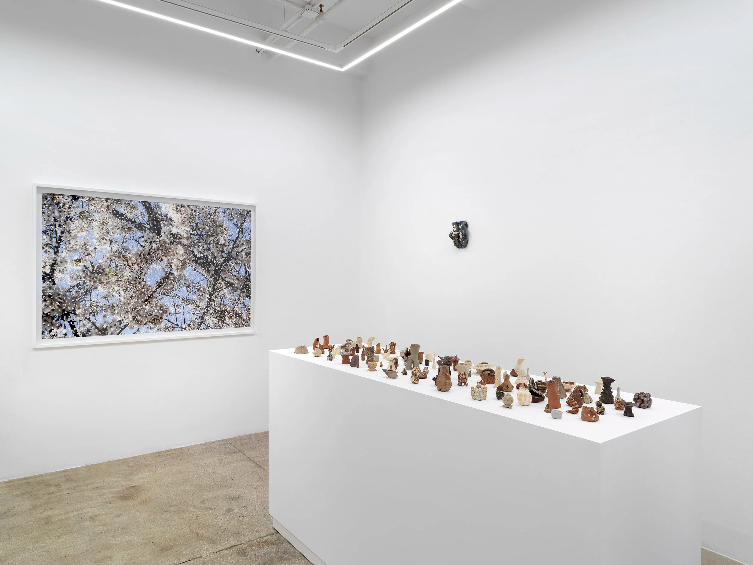 Yuki Tawada, Yuki Tawada at Alison Bradley Projects, photo 3