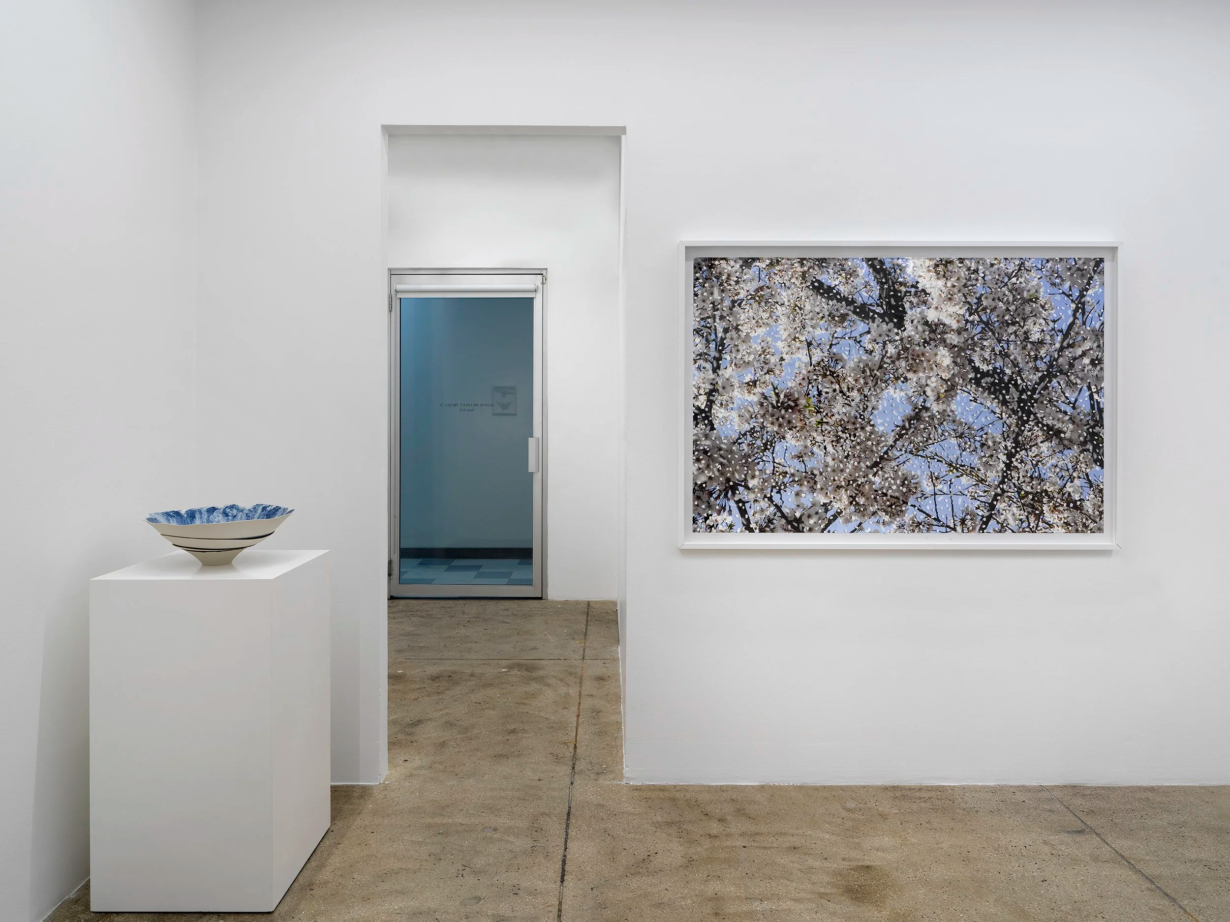 Yuki Tawada, Yuki Tawada at Alison Bradley Projects, photo 4