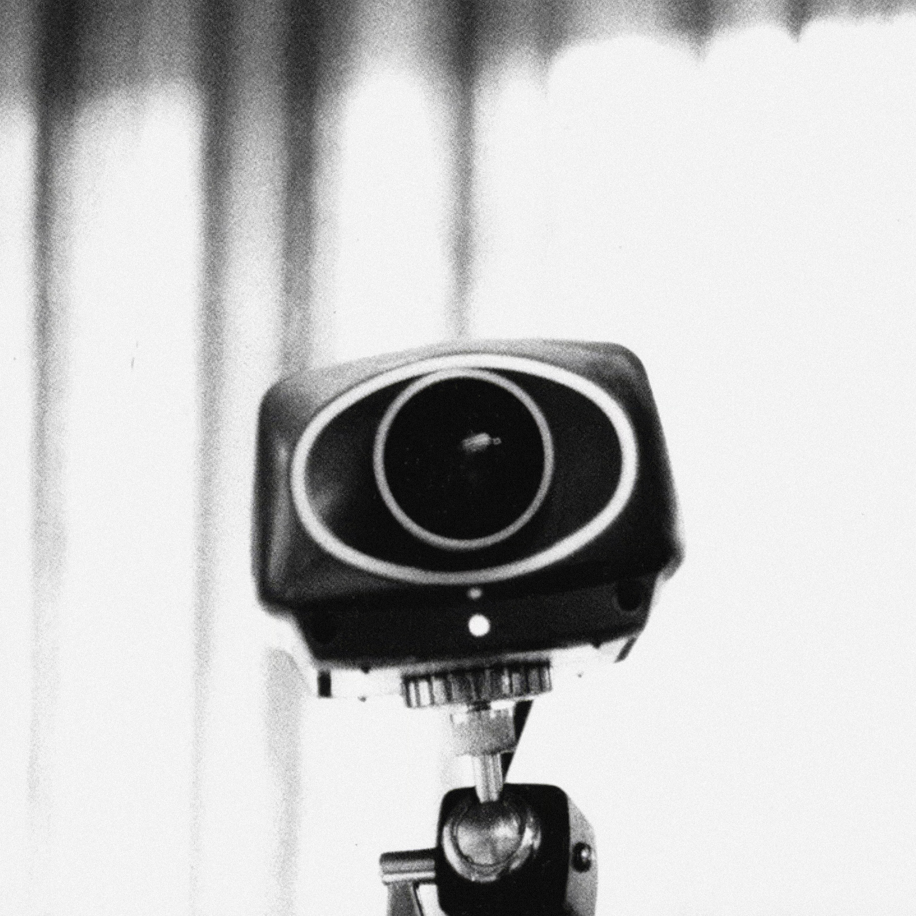 Lewis Stein, Surveillance at Mariposa, photo 6
