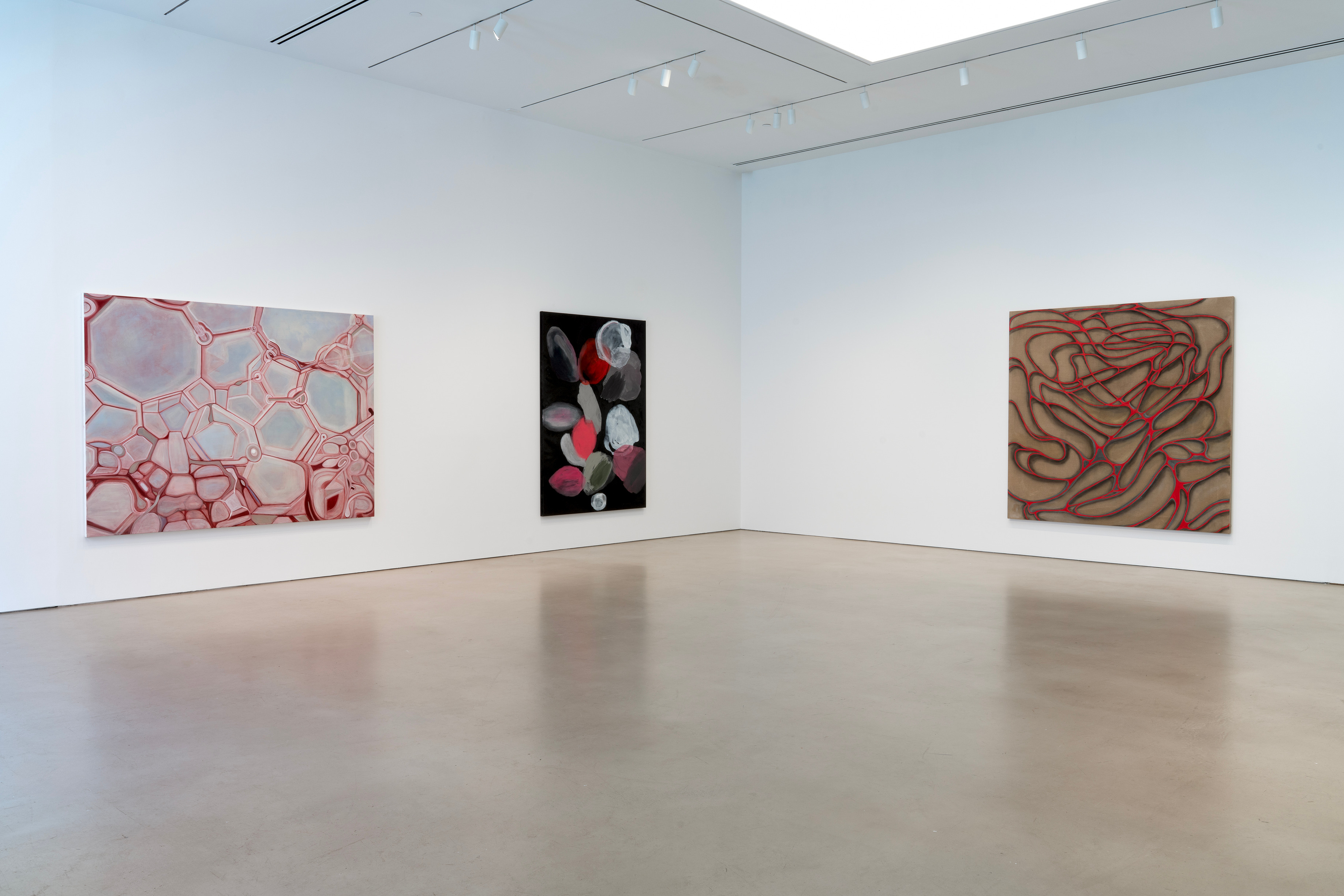 Ross Bleckner, Octopus at Petzel, photo 2