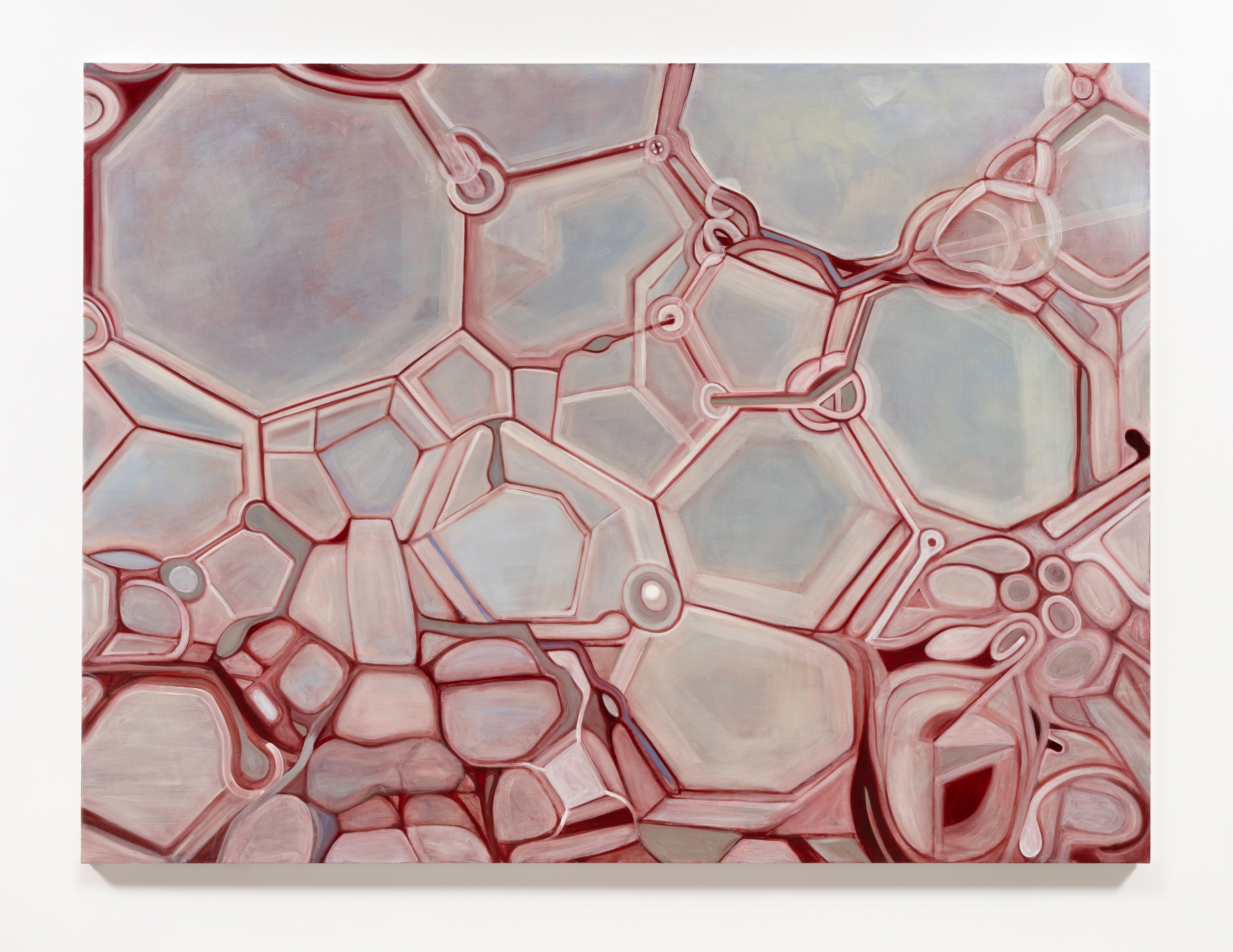 Ross Bleckner, Octopus at Petzel, photo 5