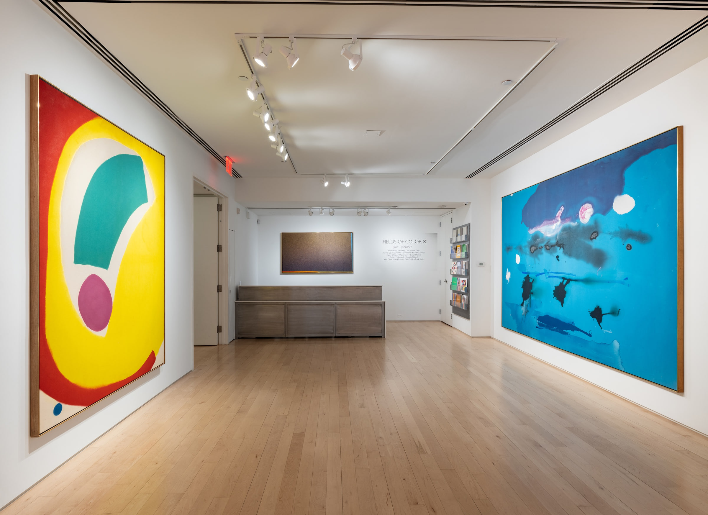 Fields of Color X, Fields of Color X at Yares Art, photo 2