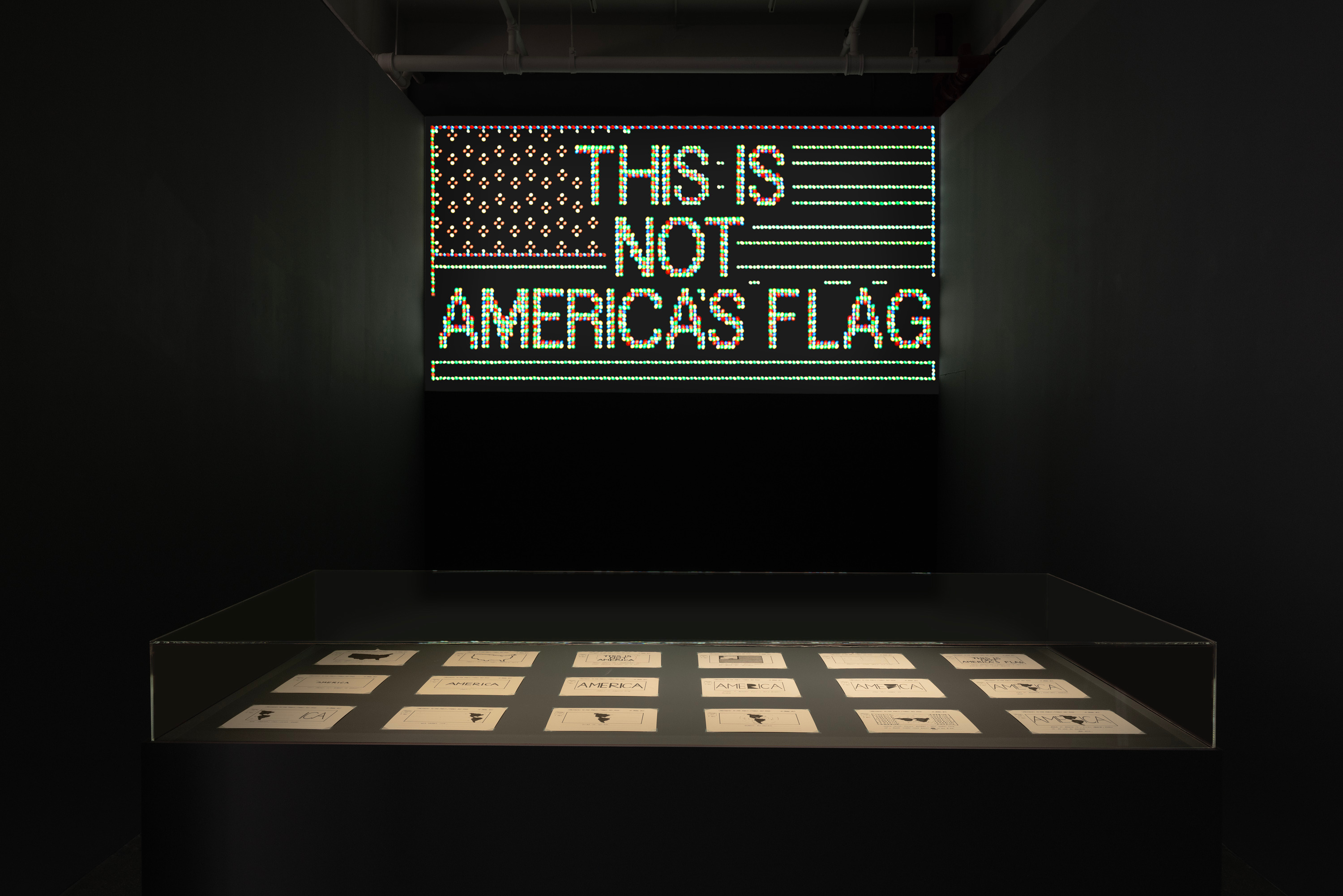 Alfredo Jaar, A Logo for America at Lelong & Co, photo 2