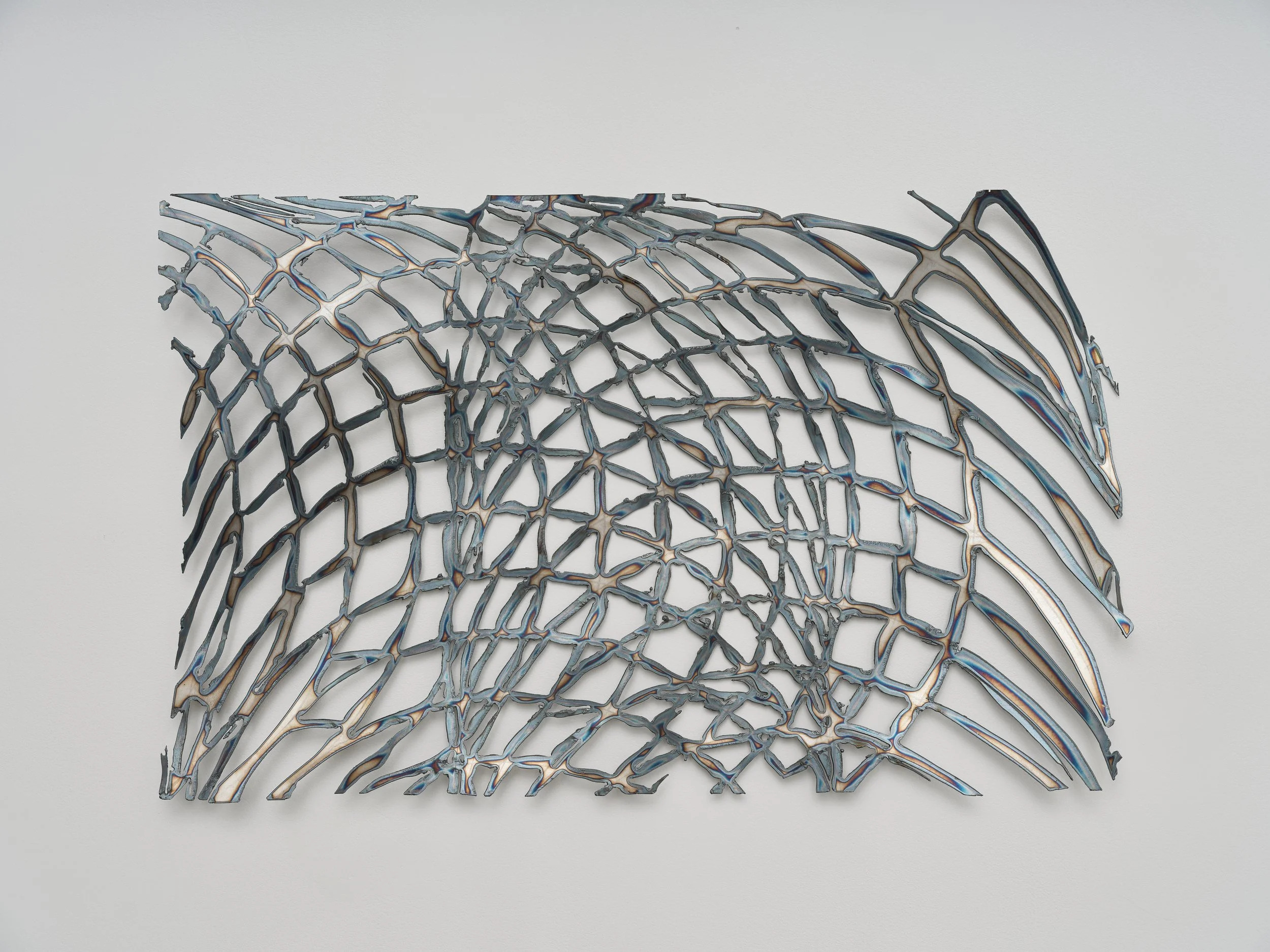 Mira Dayal, Nets at Print Center New York, photo 2
