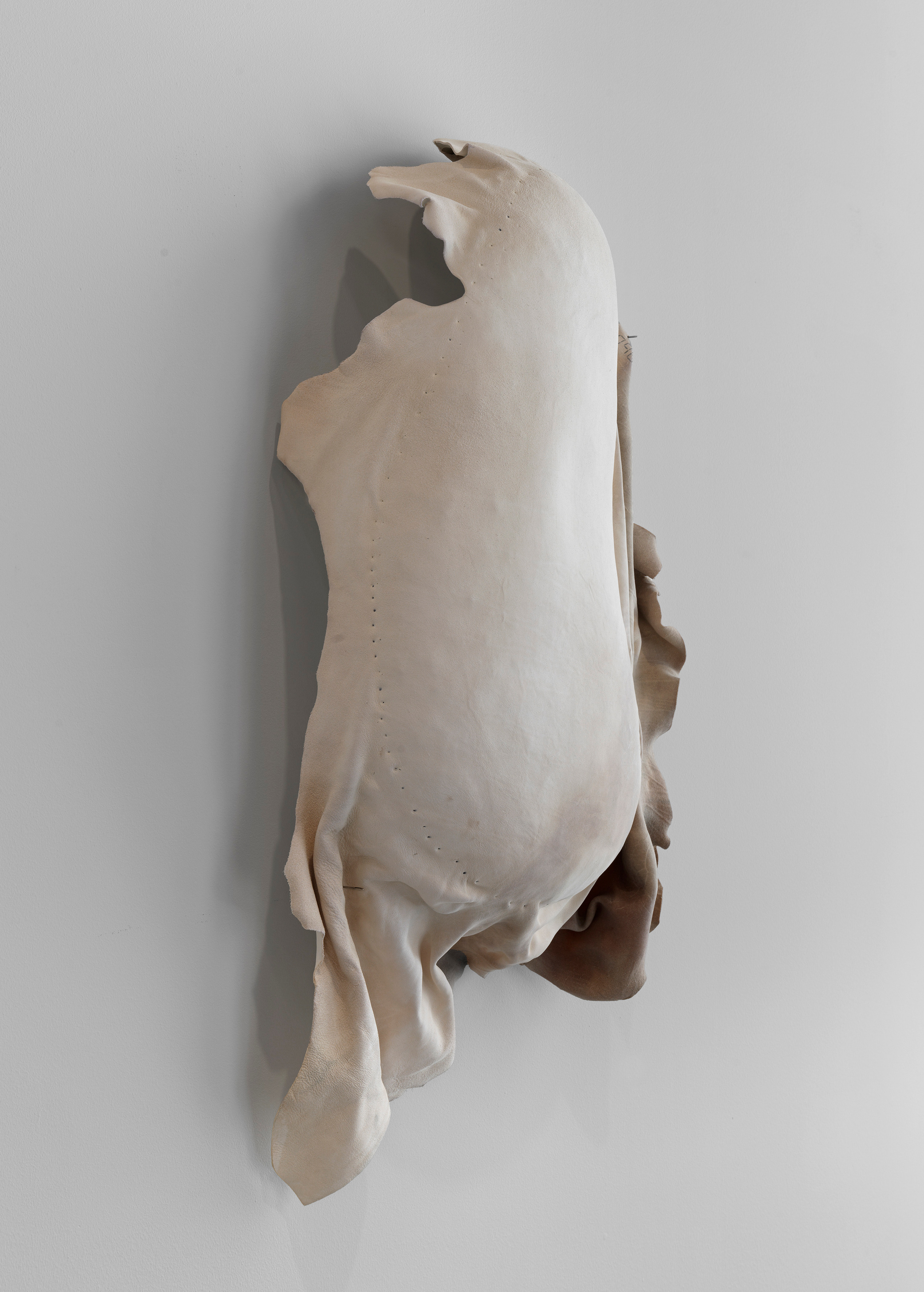 Edith Dekyndt, Notes on What Is What at Marian Goodman, photo 6