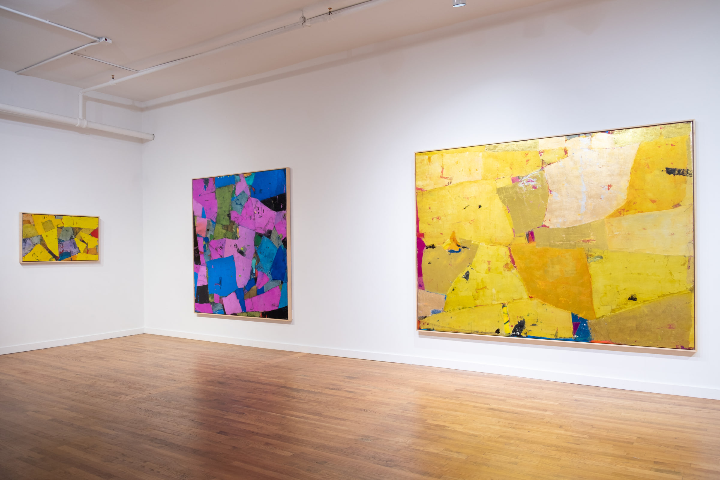 Robert Szot, Dust Do Shine at Anita Rogers Gallery, photo 2