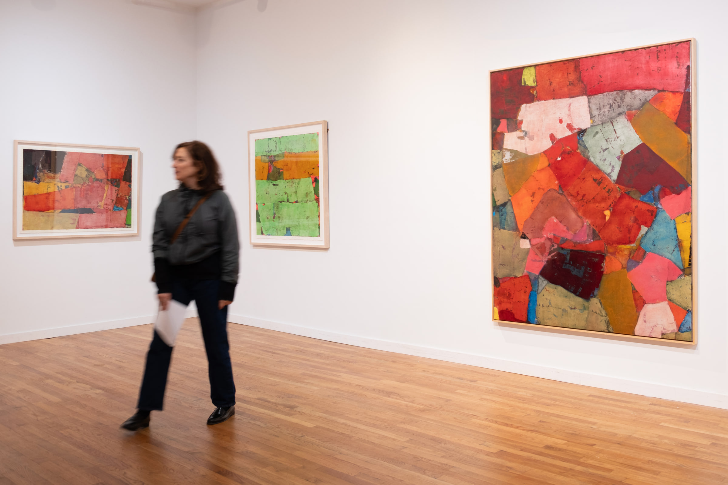 Robert Szot, Dust Do Shine at Anita Rogers Gallery, photo 3