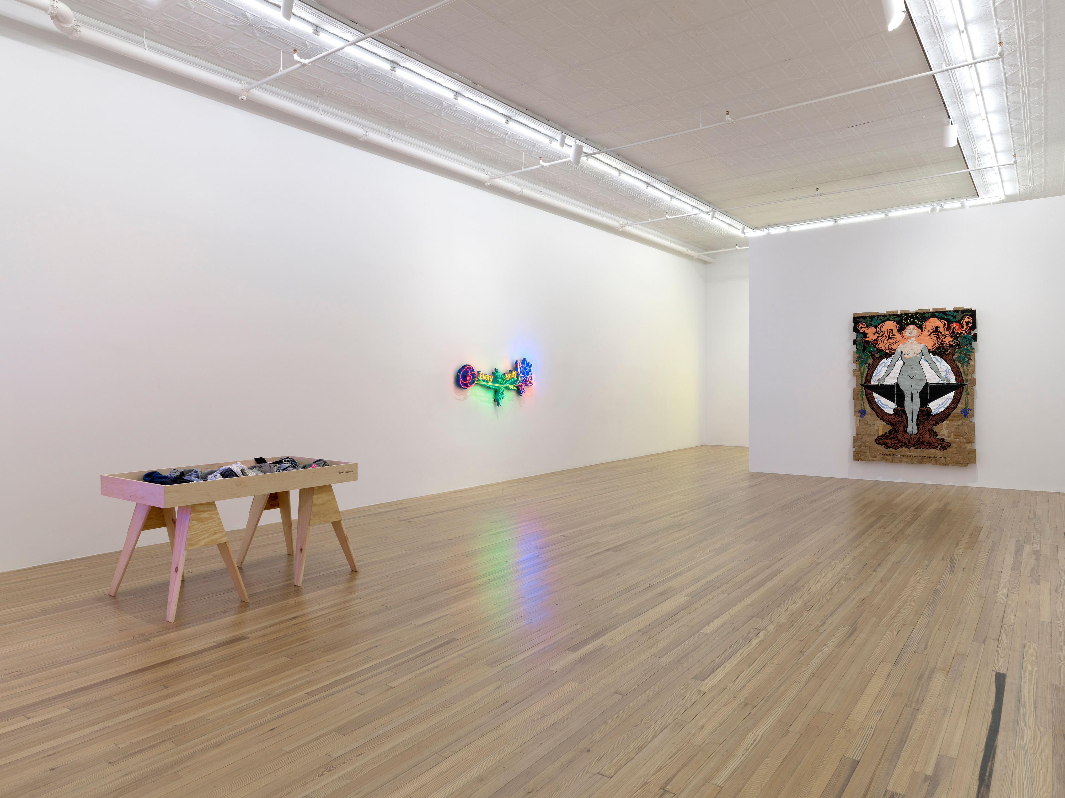 Andrea Bowers, Andrea Bowers at Andrew Kreps, photo 5