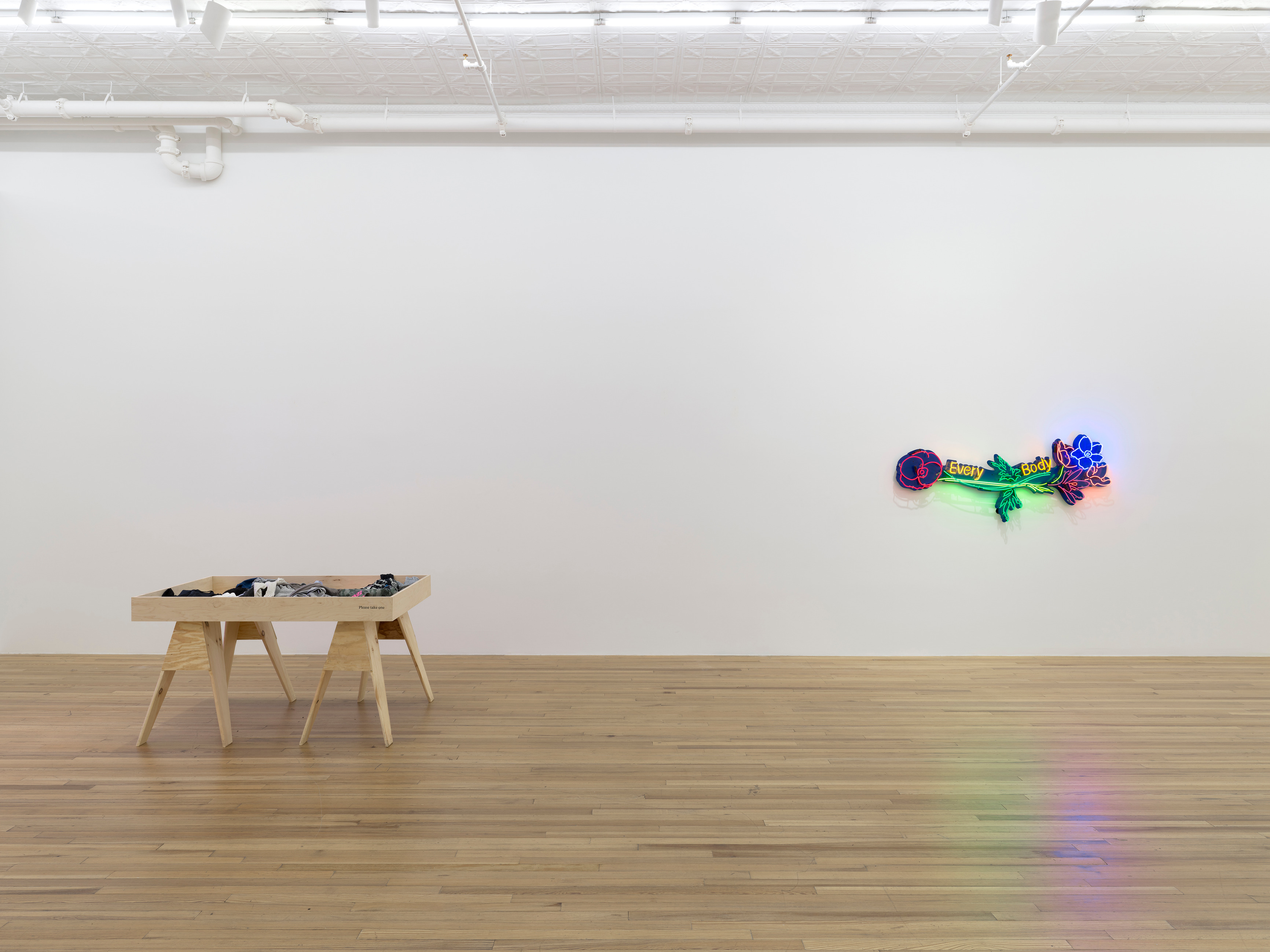 Andrea Bowers, Andrea Bowers at Andrew Kreps, photo 4