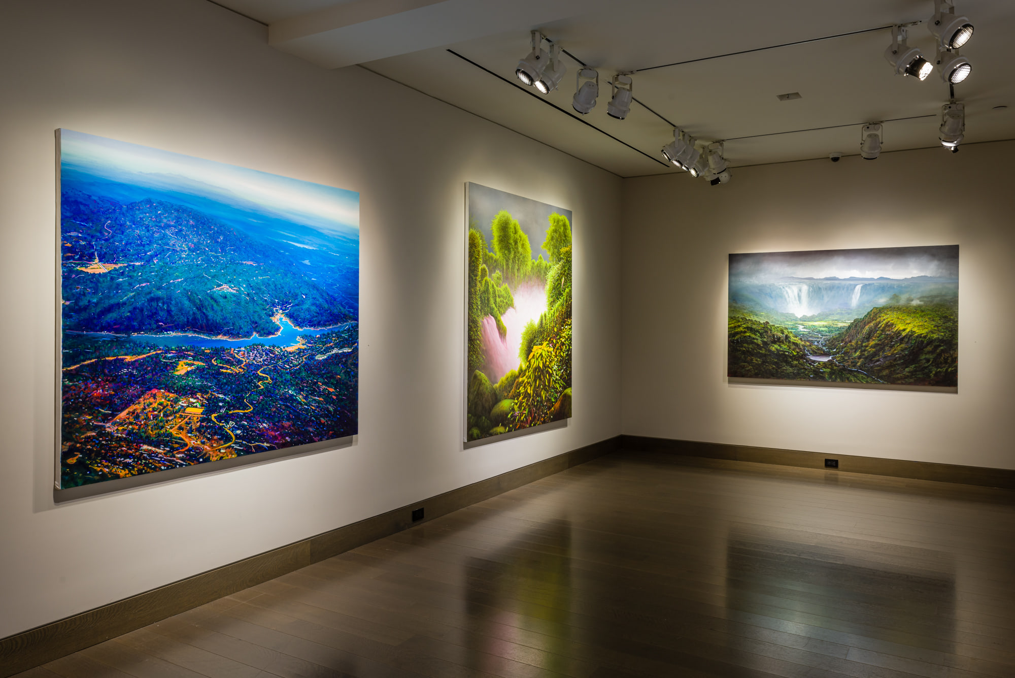 Tula Telfair, Who Owns This Land at Hirschl & Adler Galleries, photo 2