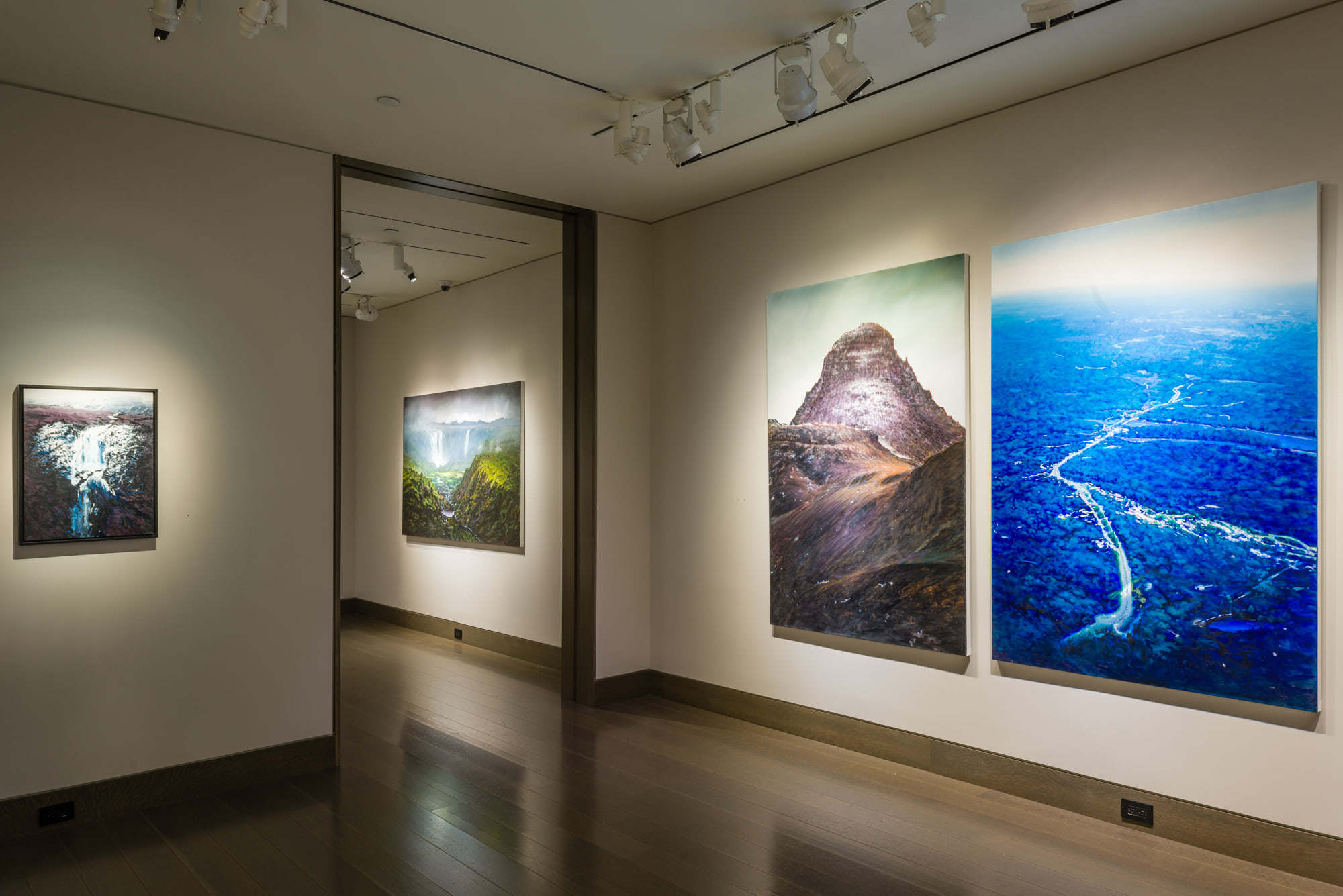 Tula Telfair, Who Owns This Land at Hirschl & Adler Galleries, photo 4