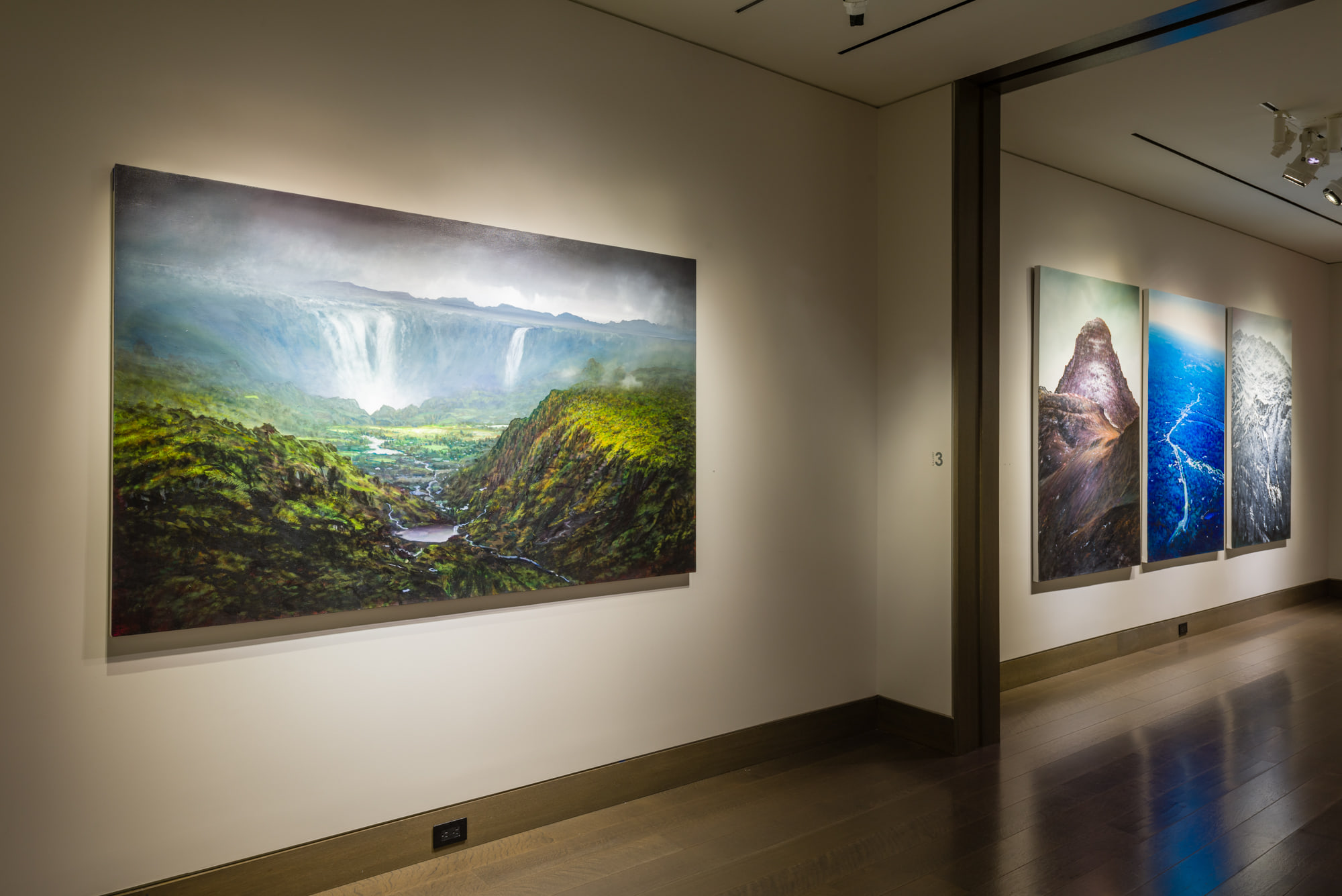 Tula Telfair, Who Owns This Land at Hirschl & Adler Galleries, photo 3