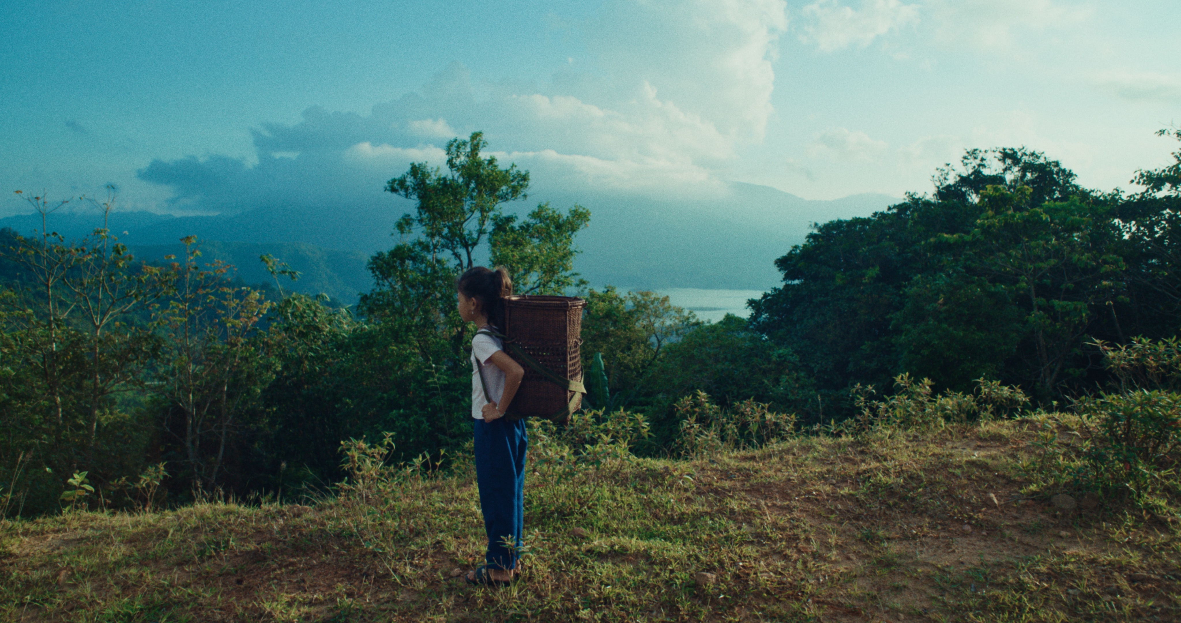 Tuan Andrew Nguyen, Sacred Forest / Rù'ng Thiêng at Norr Cohan, photo 2
