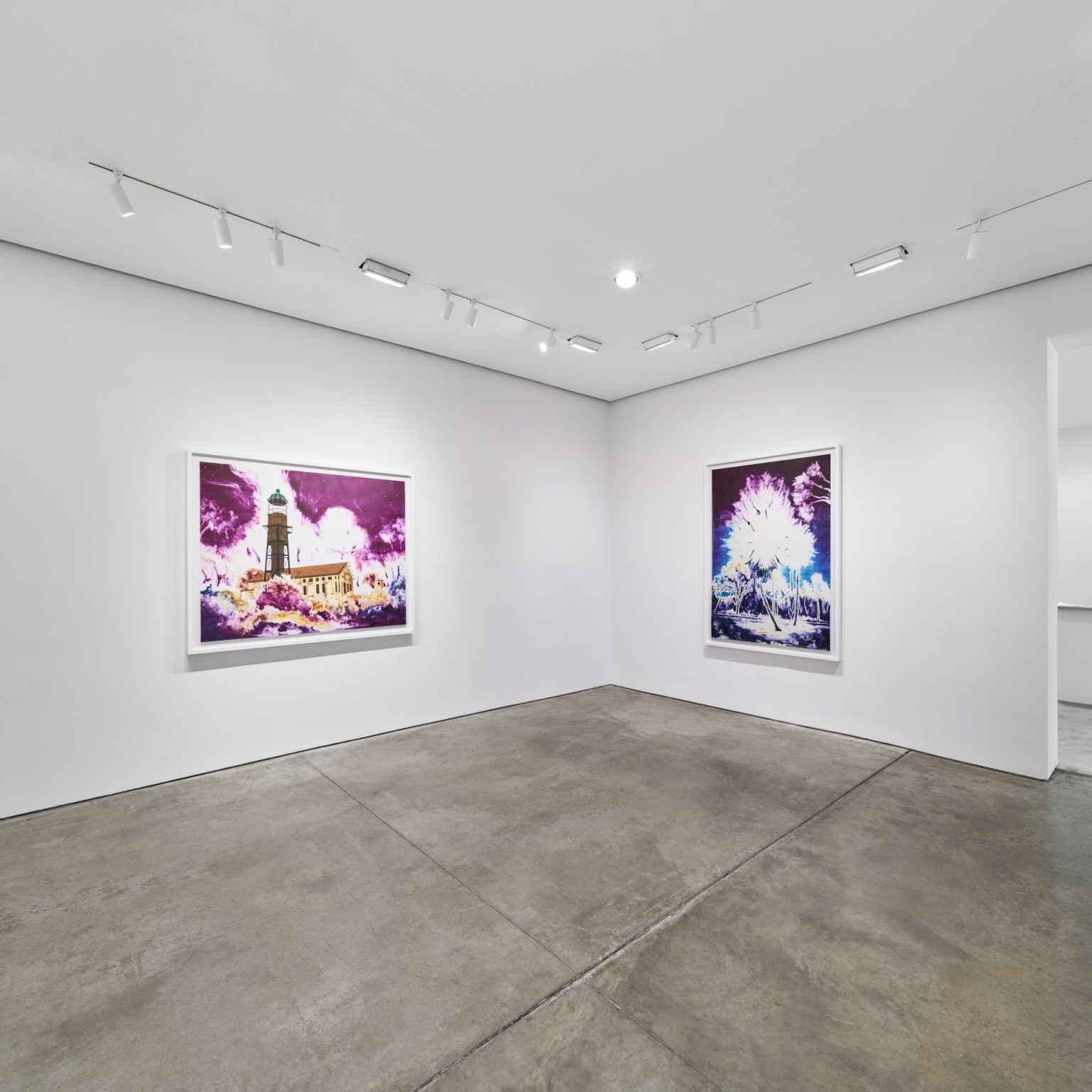 Gamaliel Rodríguez, Lo Grabado De Lo Vivido (What Is Etched From What Has Been Lived) at Pace Prints, photo 4