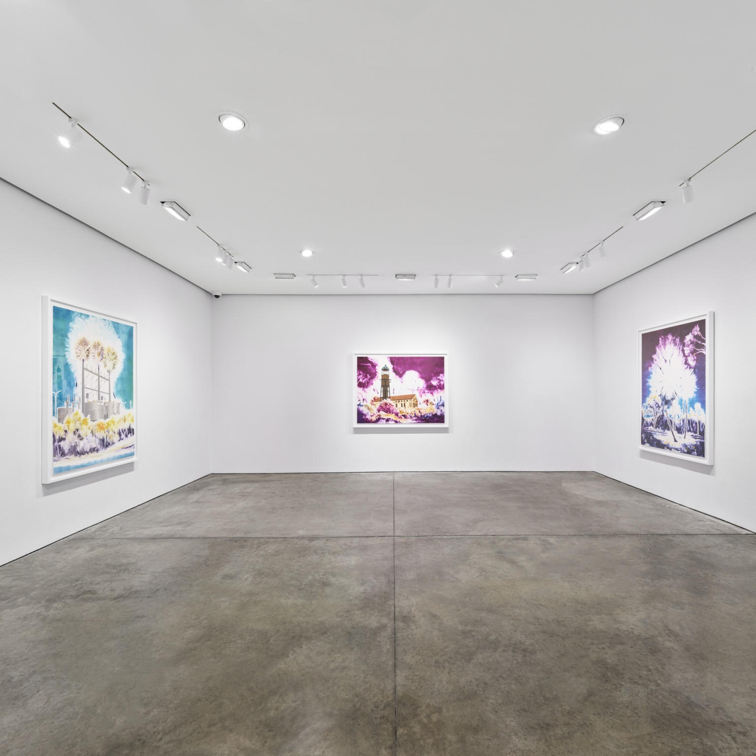 Gamaliel Rodríguez, Lo Grabado De Lo Vivido (What Is Etched From What Has Been Lived) at Pace Prints, photo 2