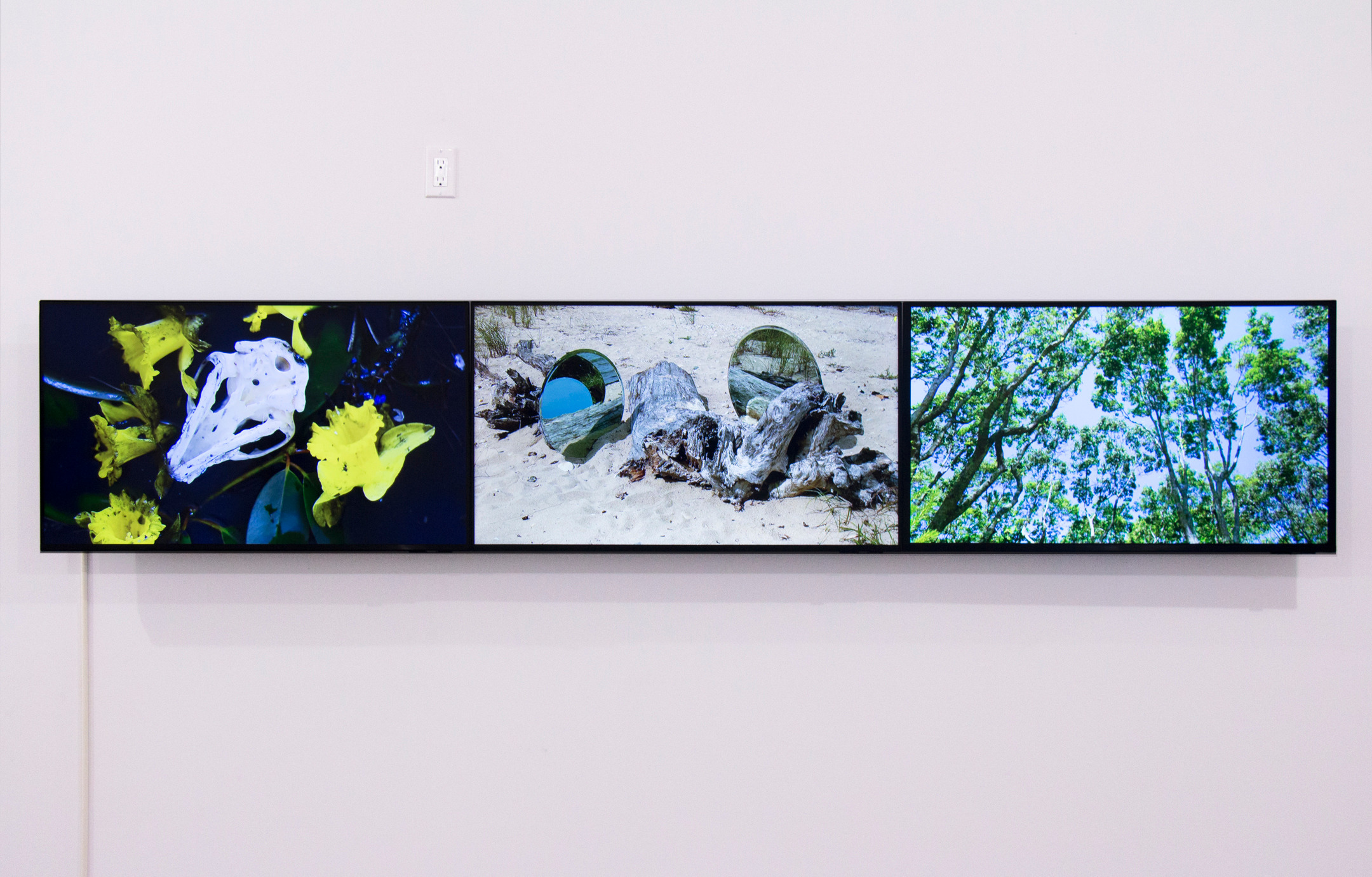 Frank Gillette, Spectra Obscura at Microscope Gallery, photo 2