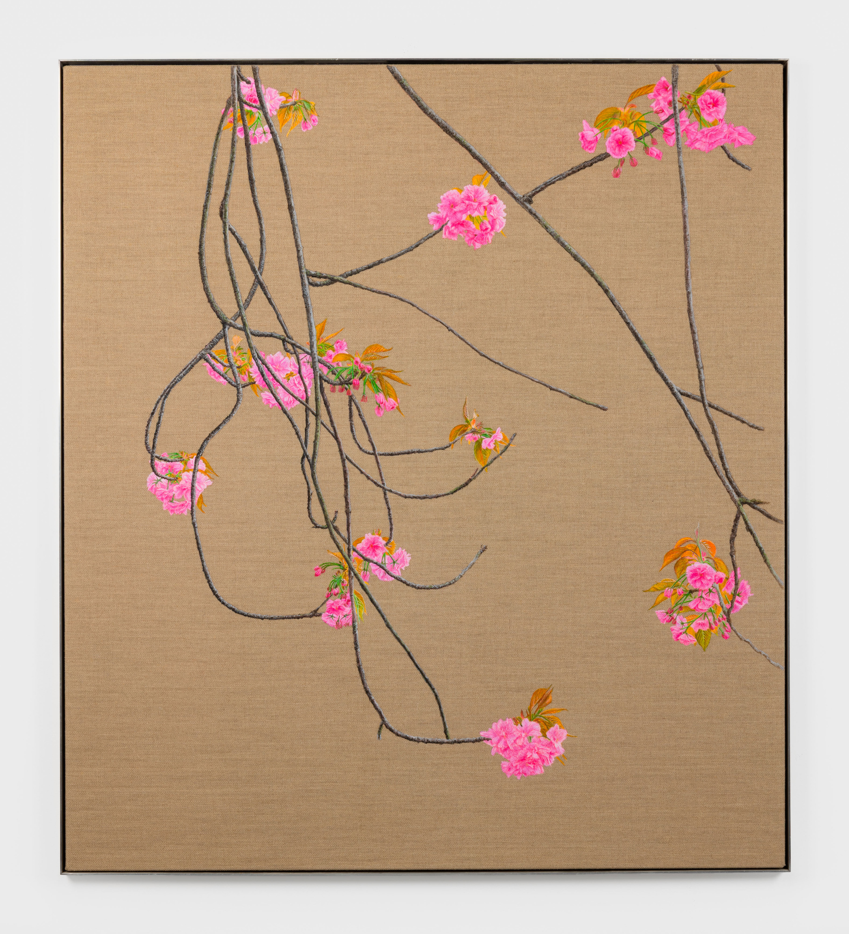 Michael Wilkinson, Fluorochiaroscuro at P·P·O·W, photo 7