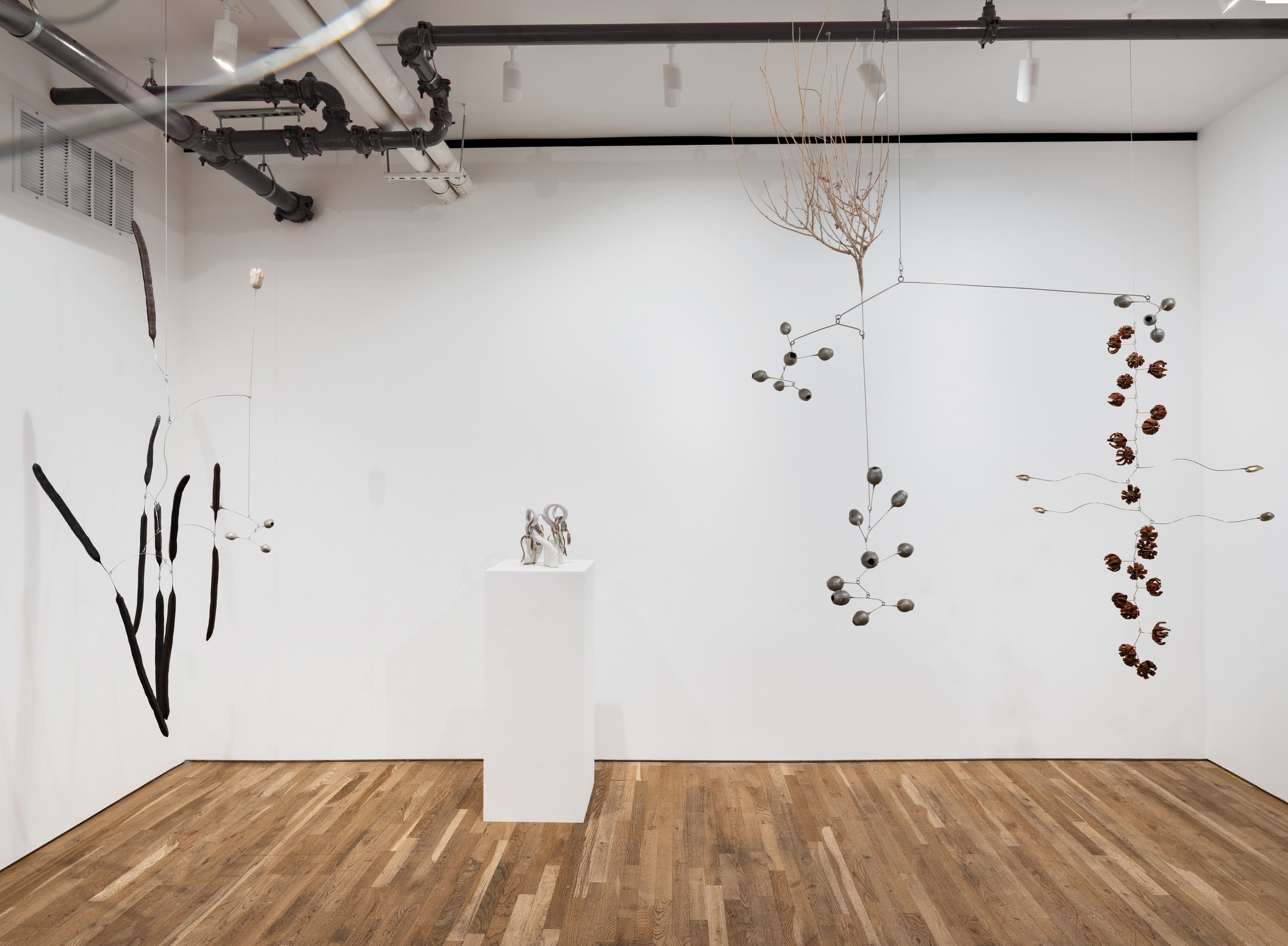 Karolina Maszkiewicz, Tending the Wild at Jane Lombard Gallery, photo 7