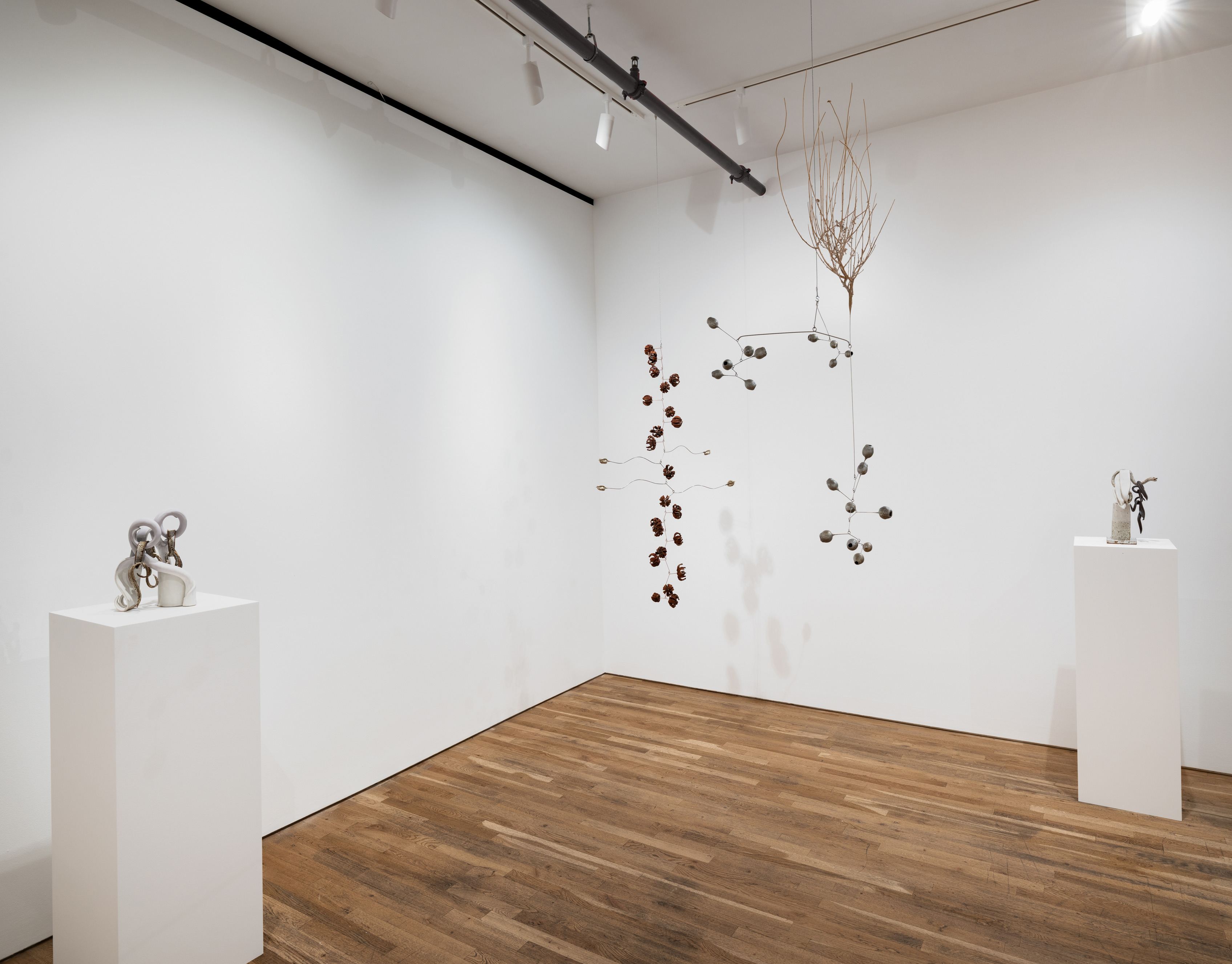 Karolina Maszkiewicz, Tending the Wild at Jane Lombard Gallery, photo 8