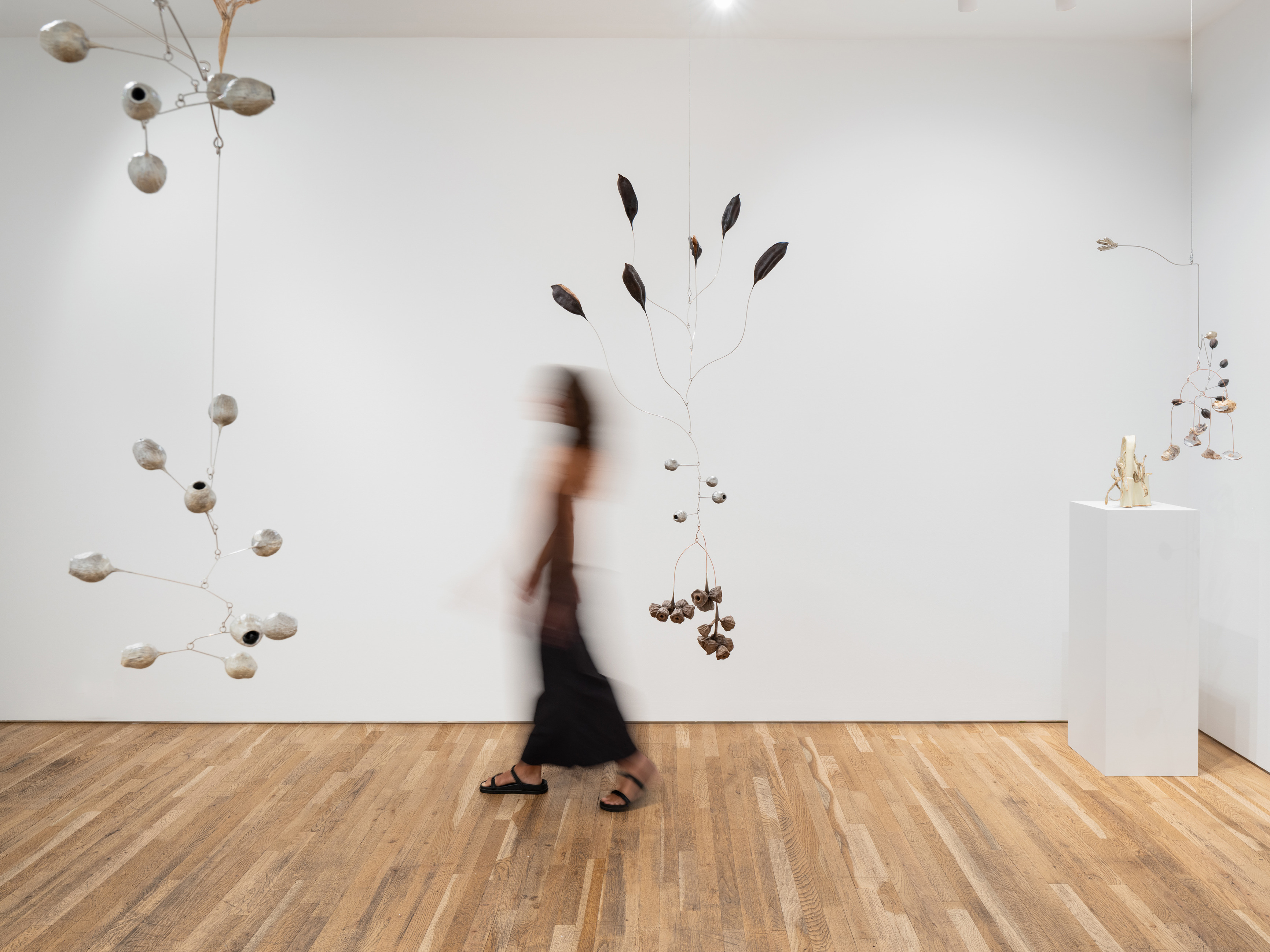 Karolina Maszkiewicz, Tending the Wild at Jane Lombard Gallery, photo 4