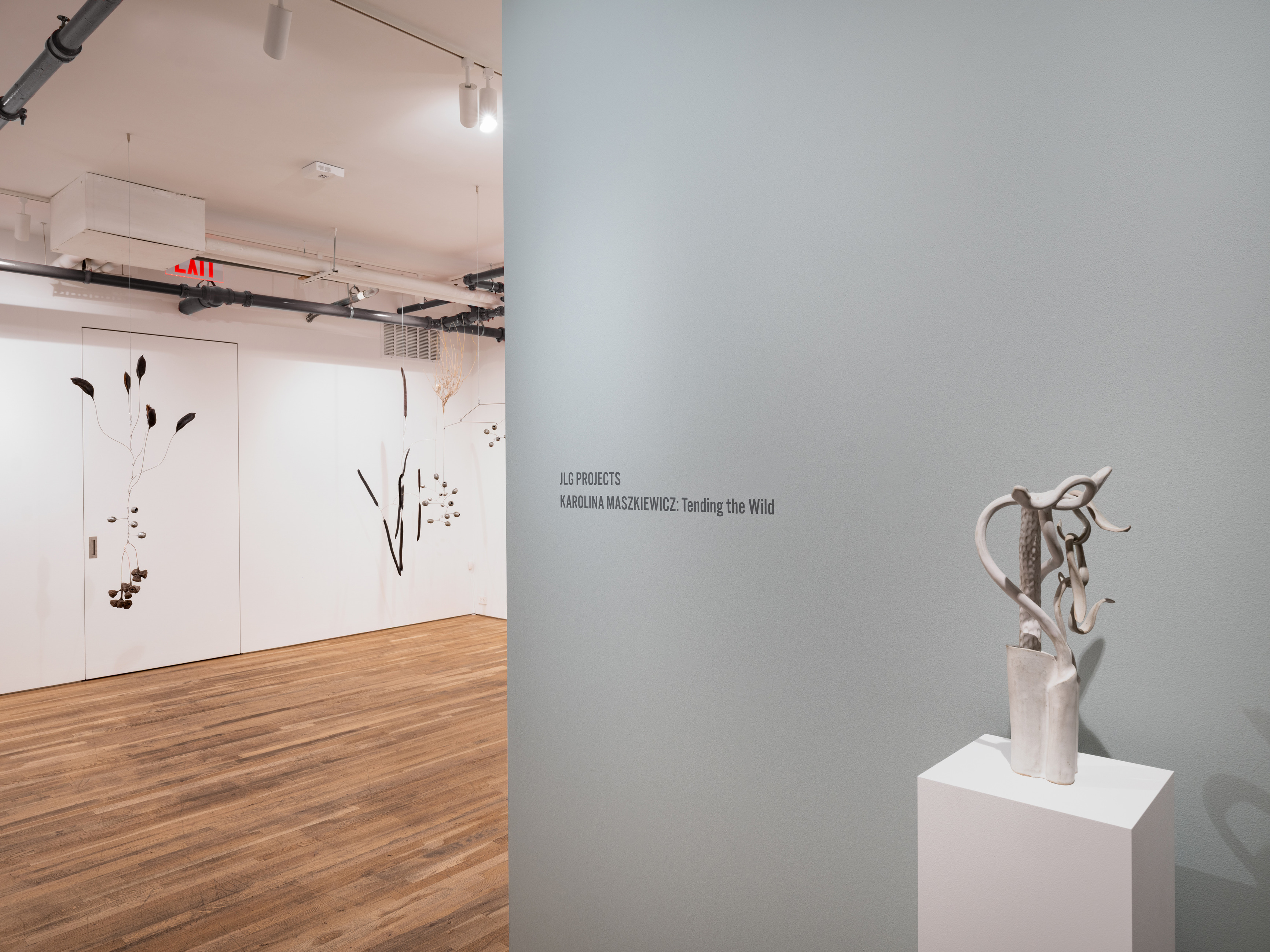 Karolina Maszkiewicz, Tending the Wild at Jane Lombard Gallery, photo 2