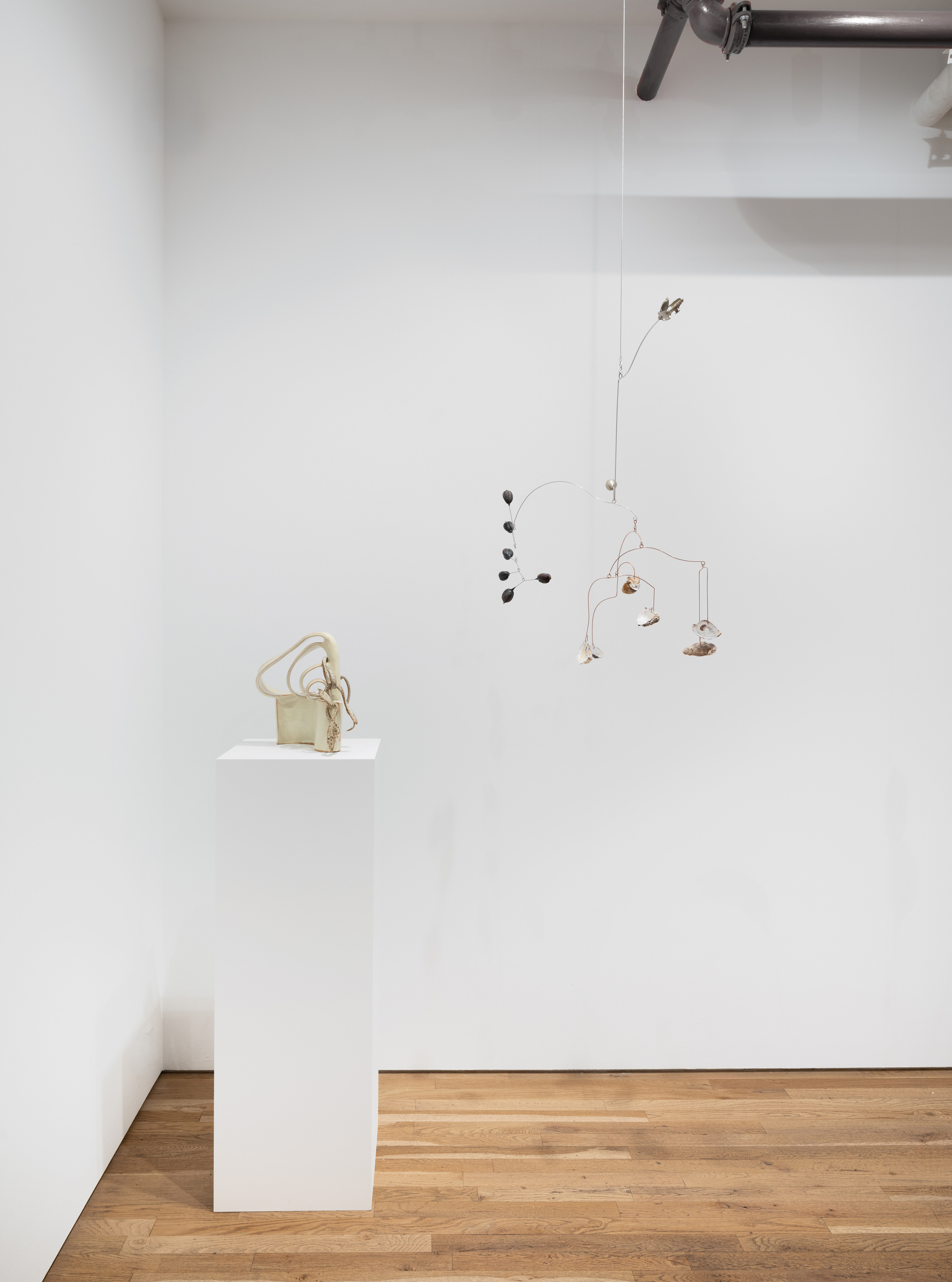 Karolina Maszkiewicz, Tending the Wild at Jane Lombard Gallery, photo 3