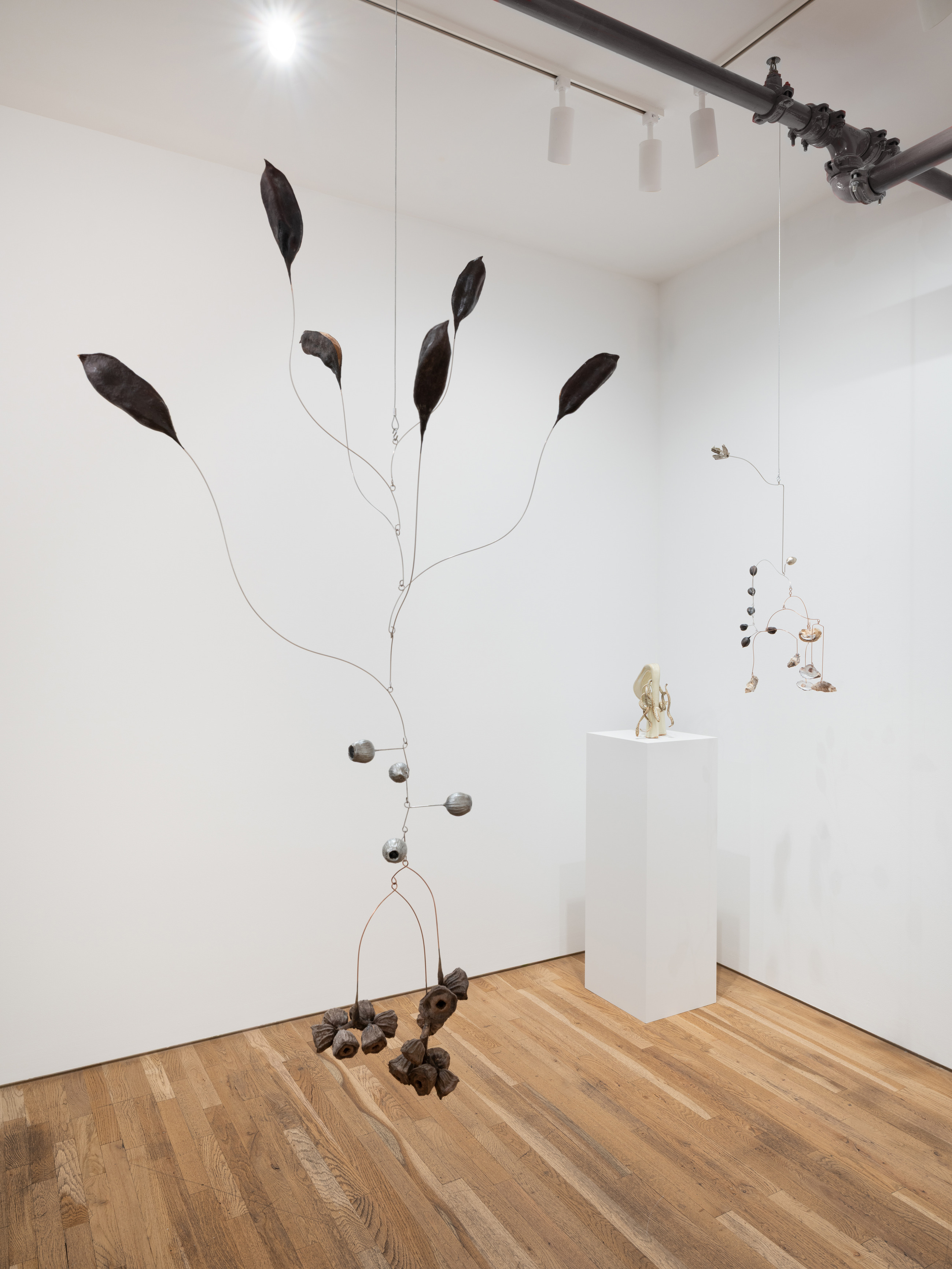 Karolina Maszkiewicz, Tending the Wild at Jane Lombard Gallery, photo 6