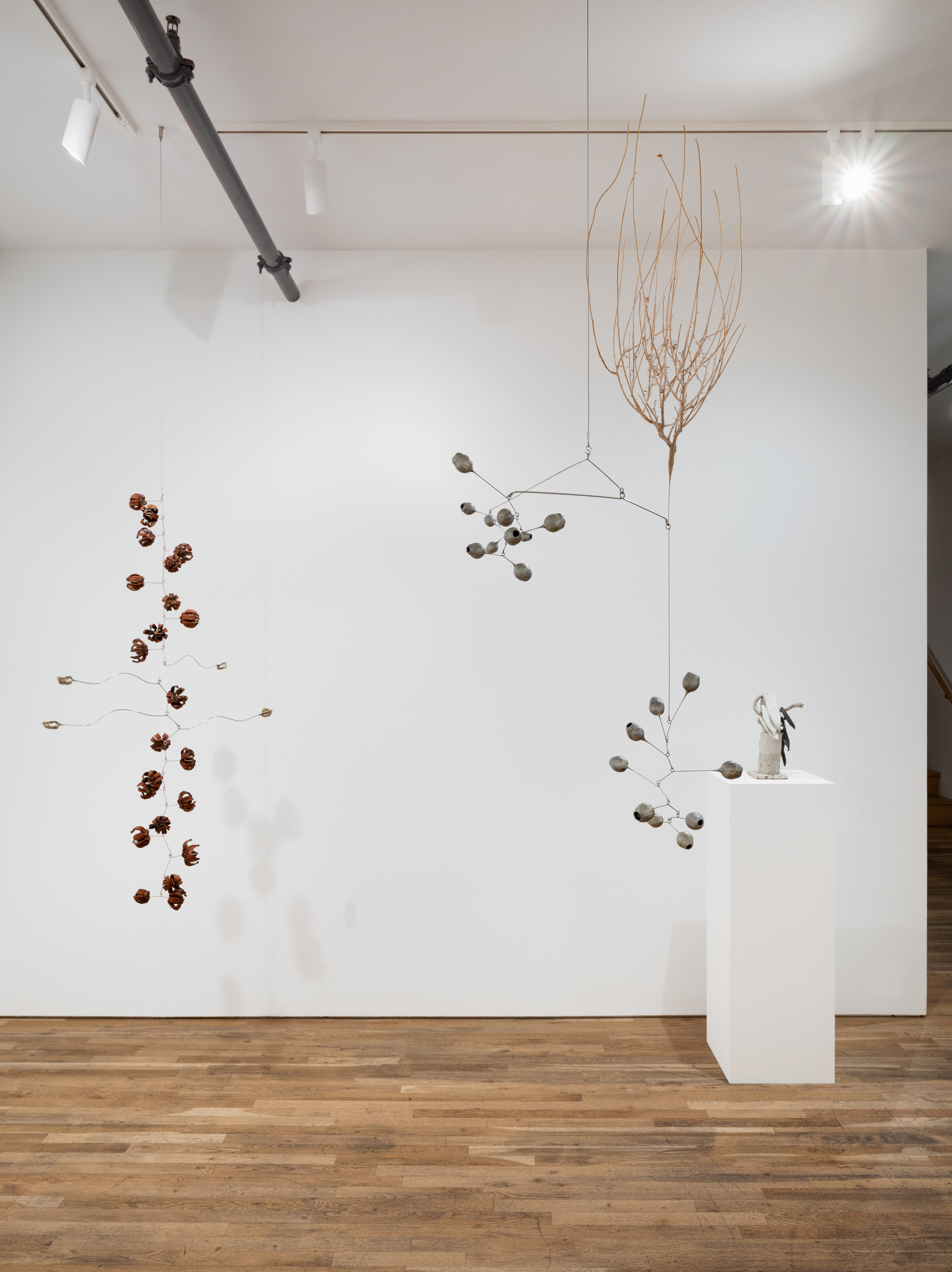 Karolina Maszkiewicz, Tending the Wild at Jane Lombard Gallery, photo 5
