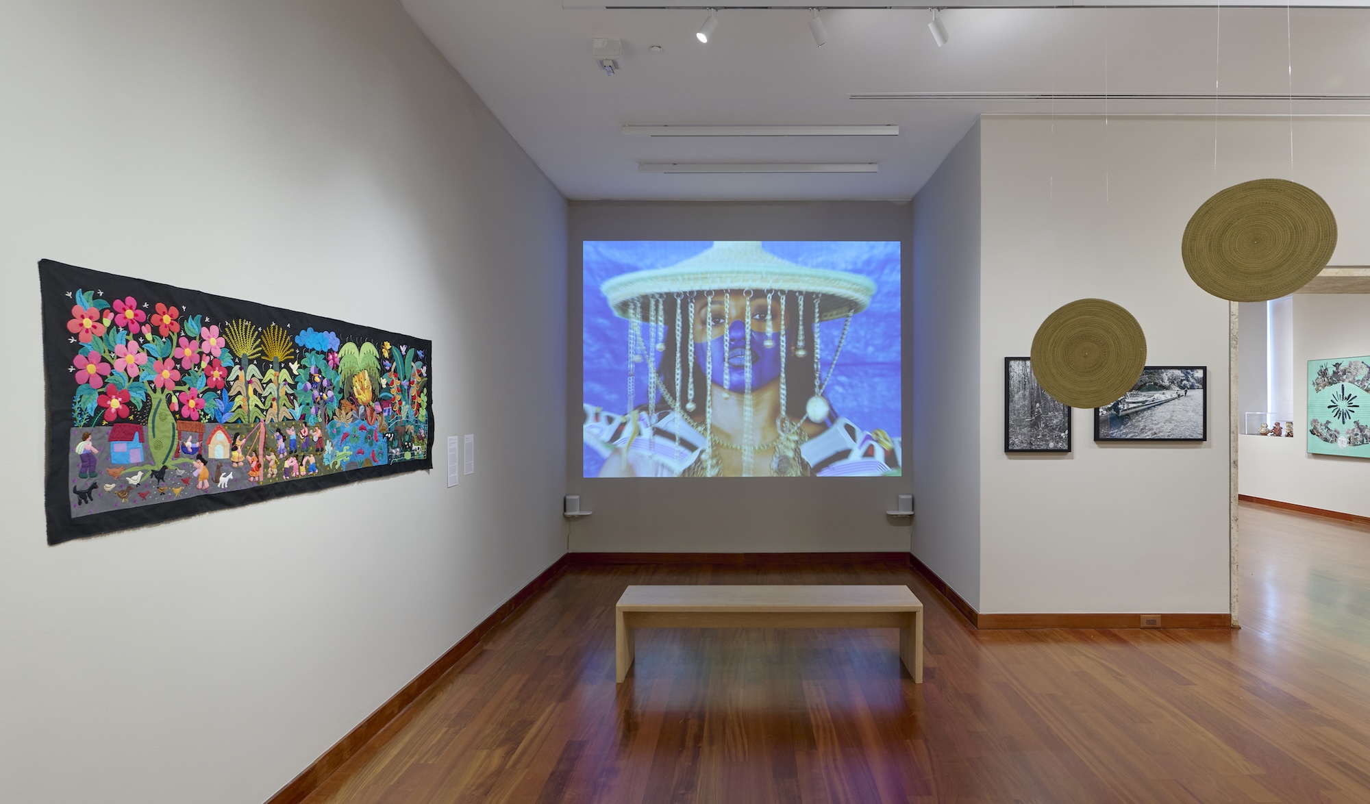 Amazonia Açu, Amazonia Açu at Americas Society, photo 3