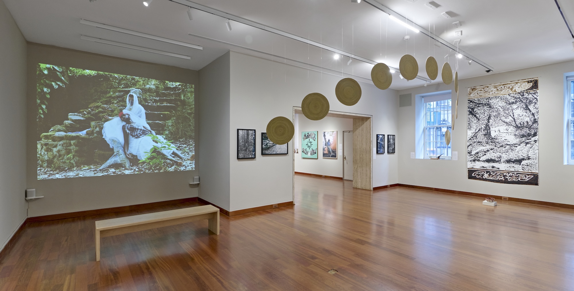 Amazonia Açu, Amazonia Açu at Americas Society, photo 5