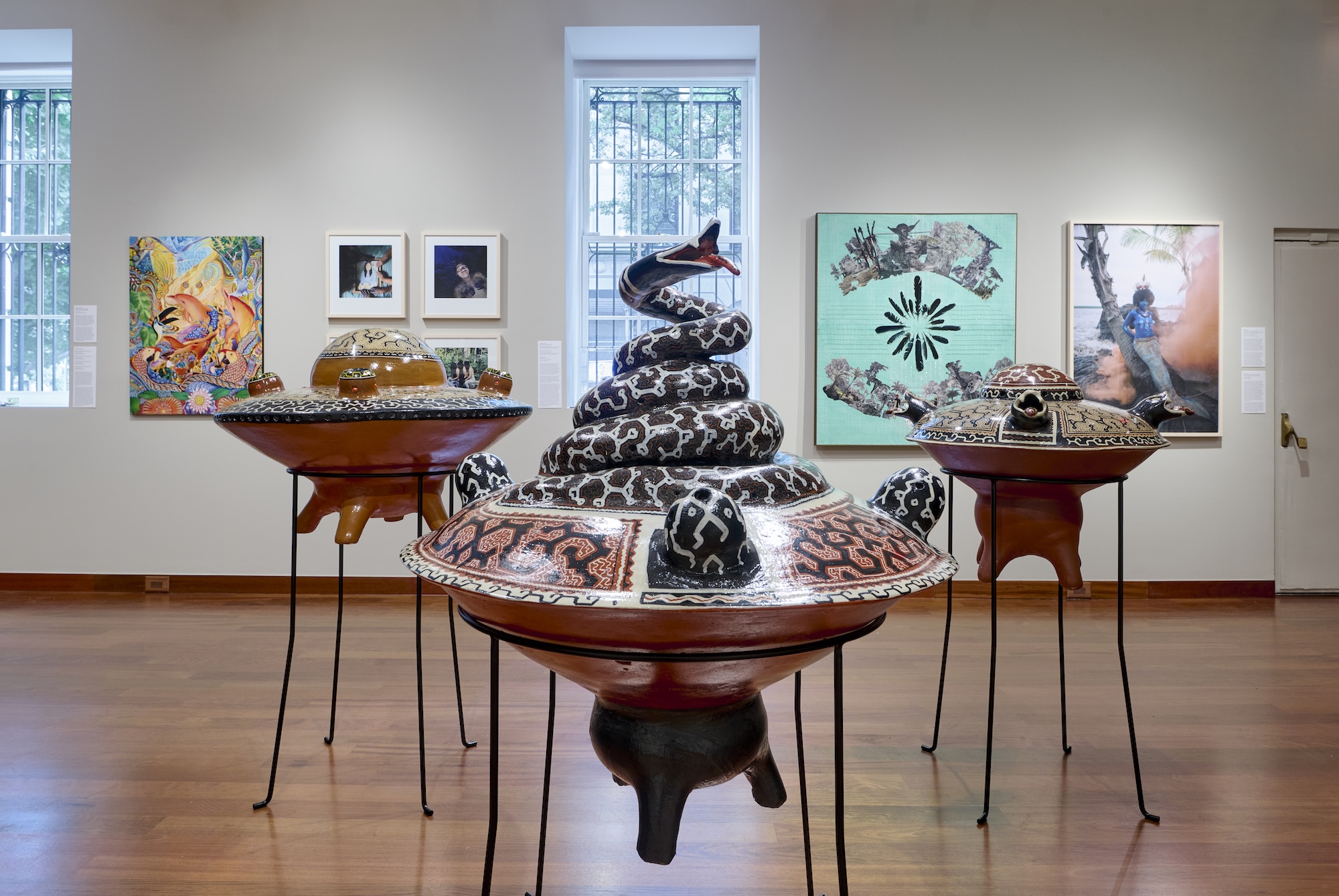 Amazonia Açu, Amazonia Açu at Americas Society, photo 9