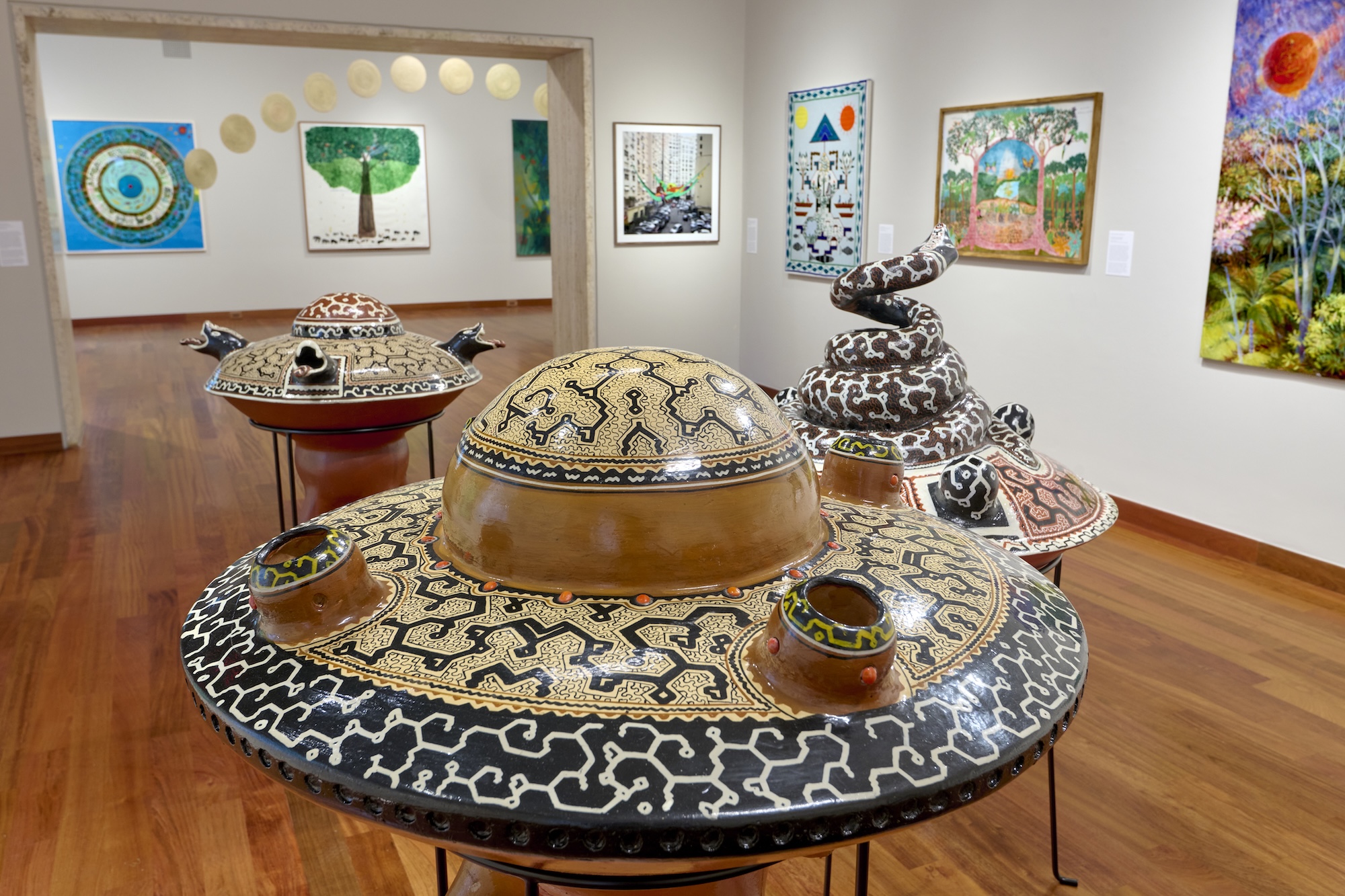Amazonia Açu, Amazonia Açu at Americas Society, photo 10