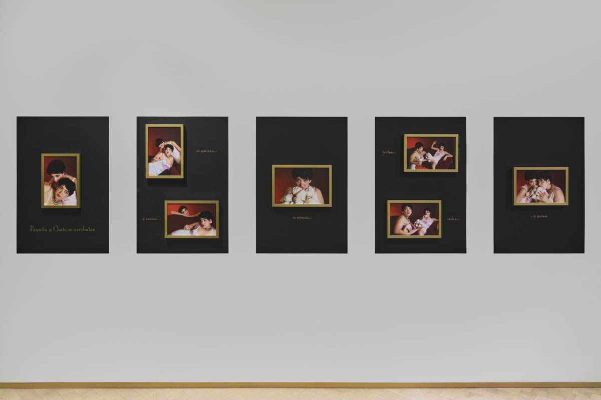 Coco Fusco, Tomorrow, I Will Become an Island at El Museo del Barrio, photo 4