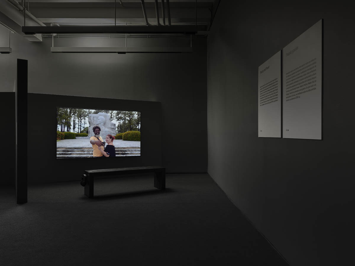 Coco Fusco, Tomorrow, I Will Become an Island at El Museo del Barrio, photo 6