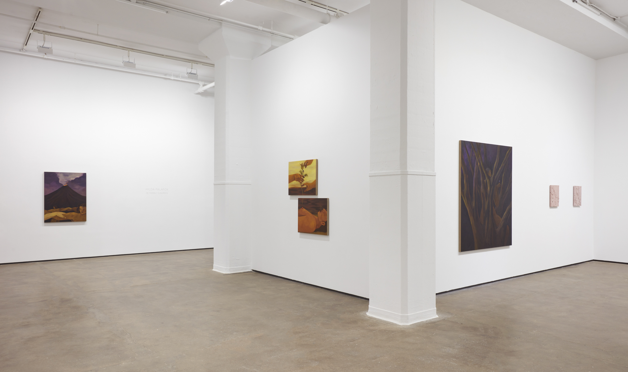 Installation view 2
