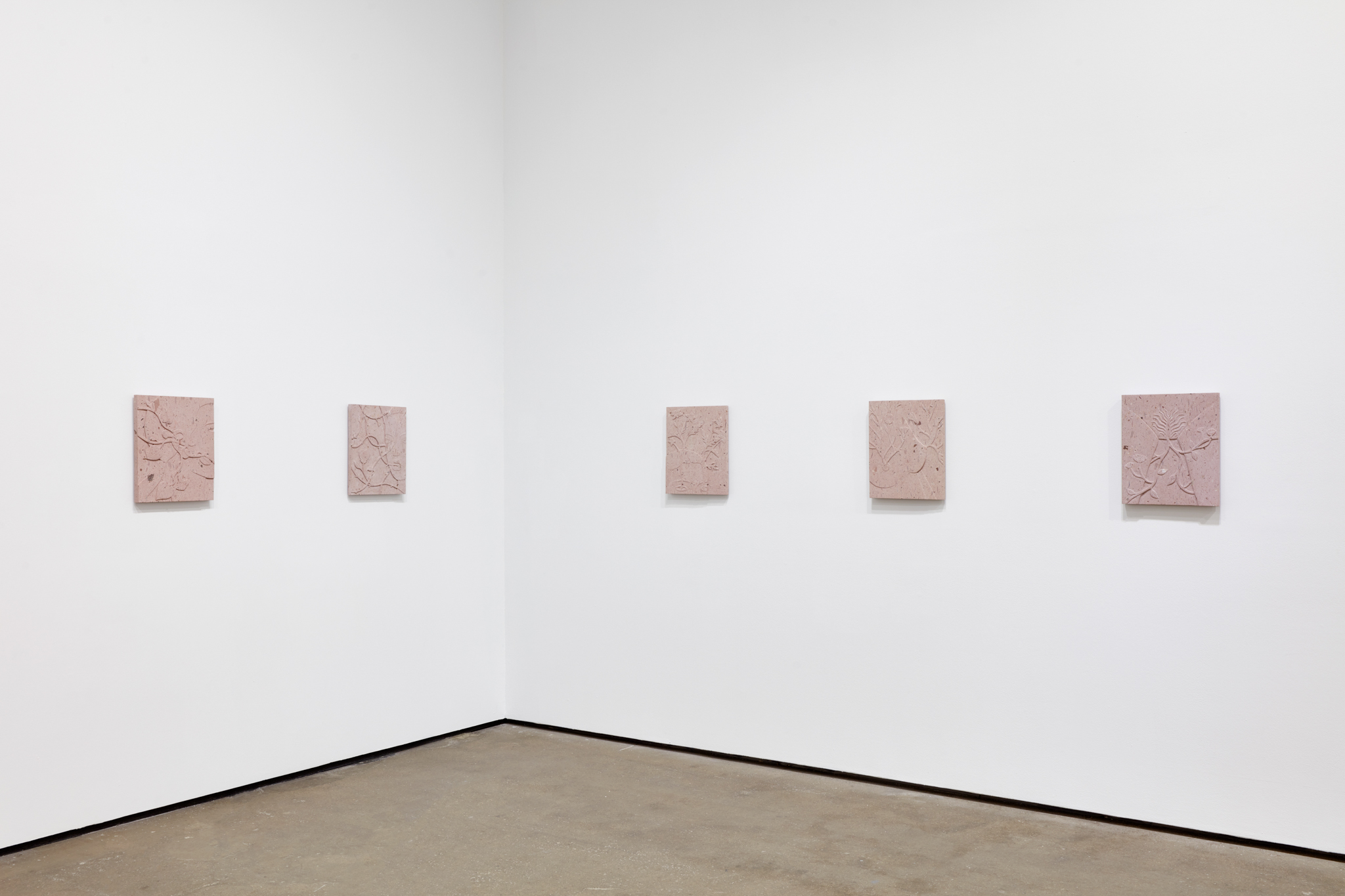 Installation view 5