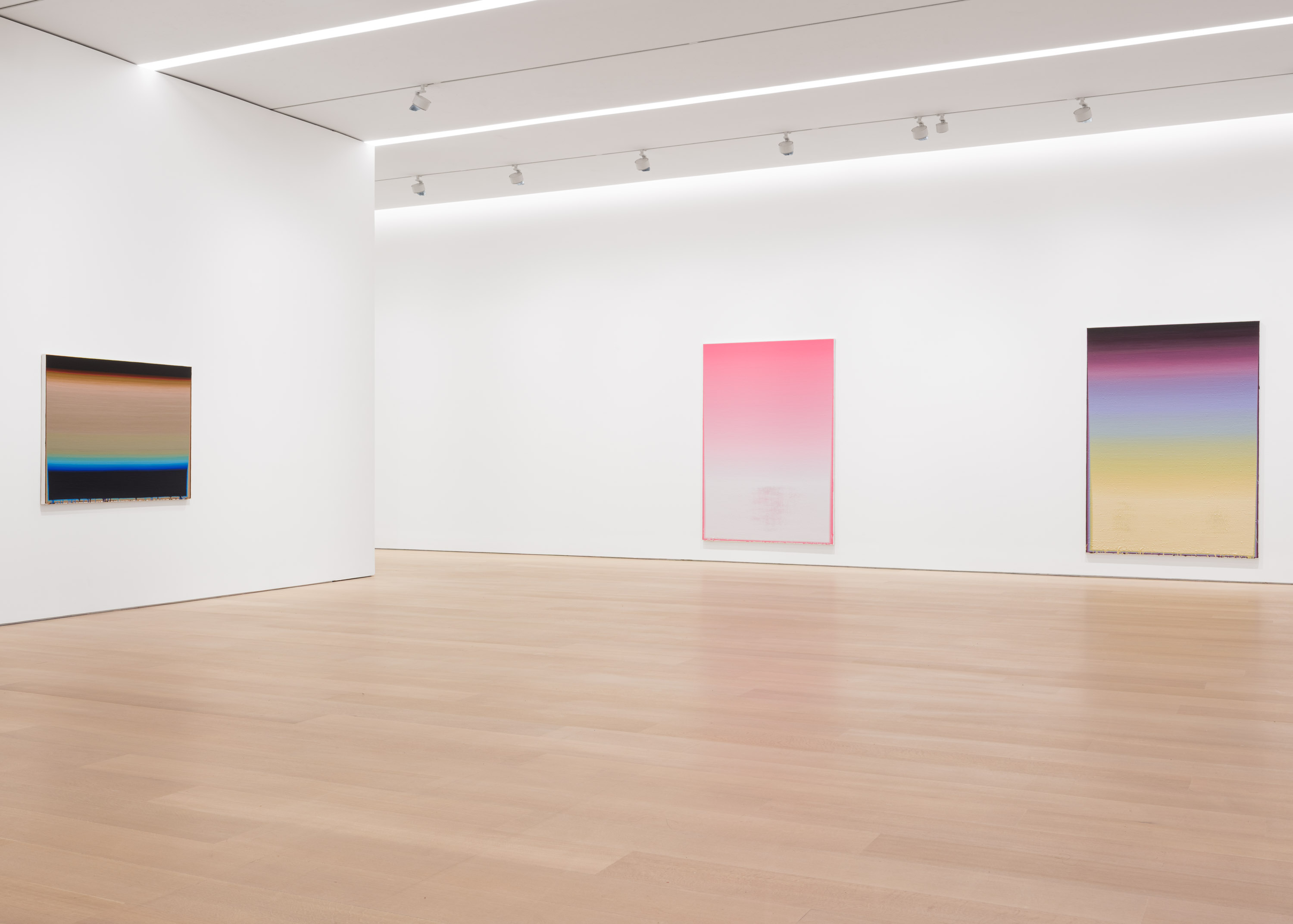 Wang Guangle, Delayed Gravity at Pace Gallery, photo 2