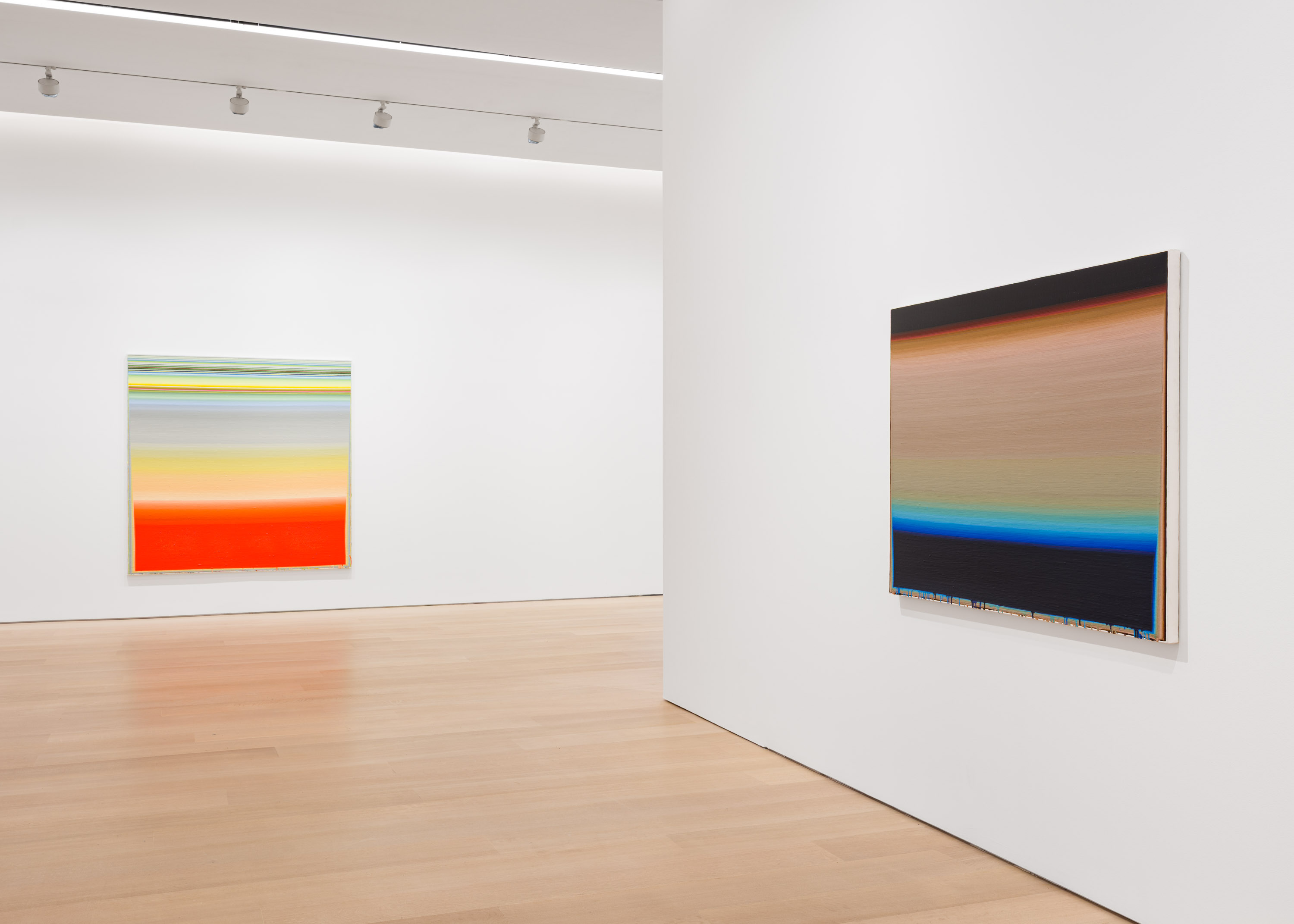 Wang Guangle, Delayed Gravity at Pace Gallery, photo 14