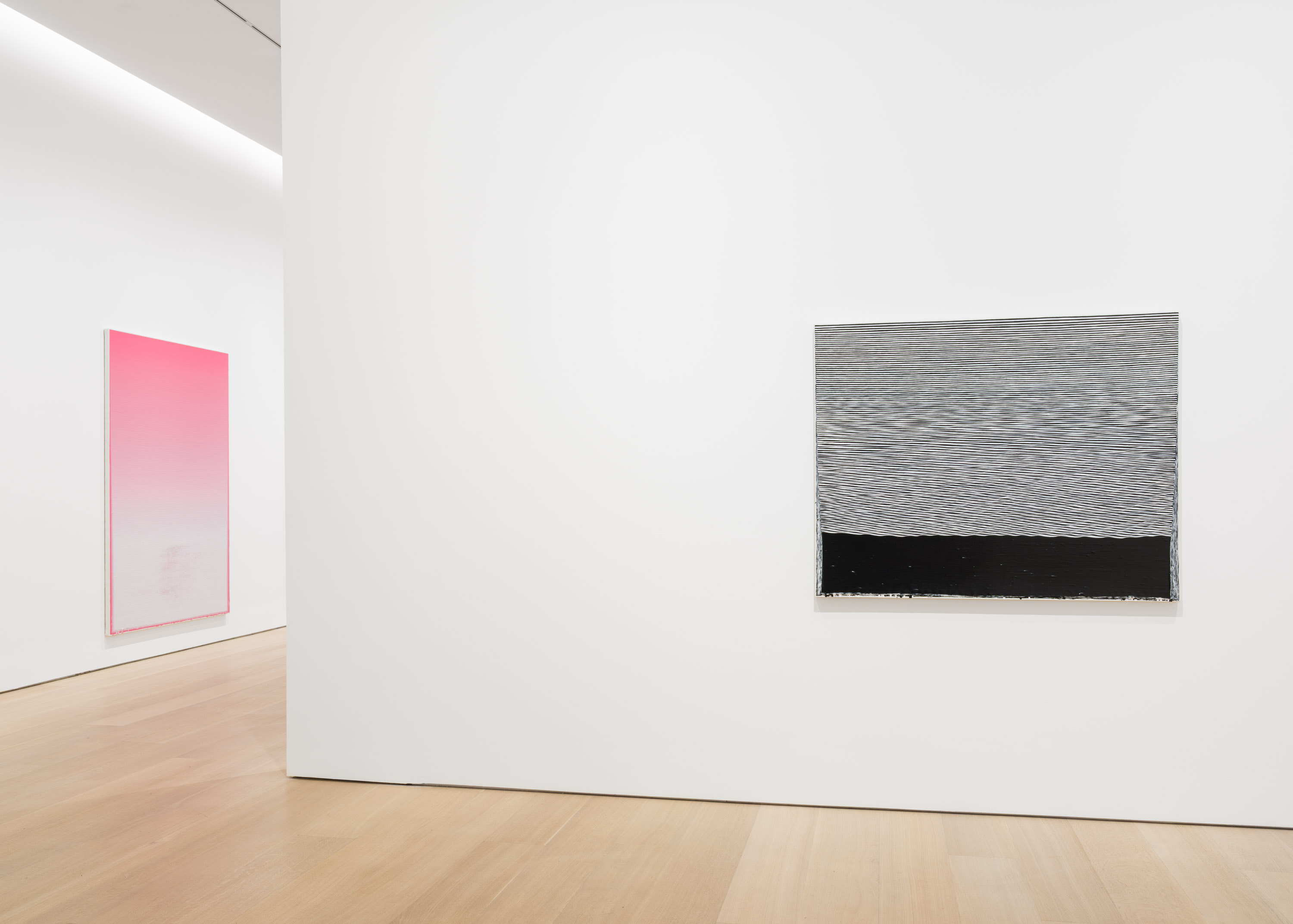 Wang Guangle, Delayed Gravity at Pace Gallery, photo 17