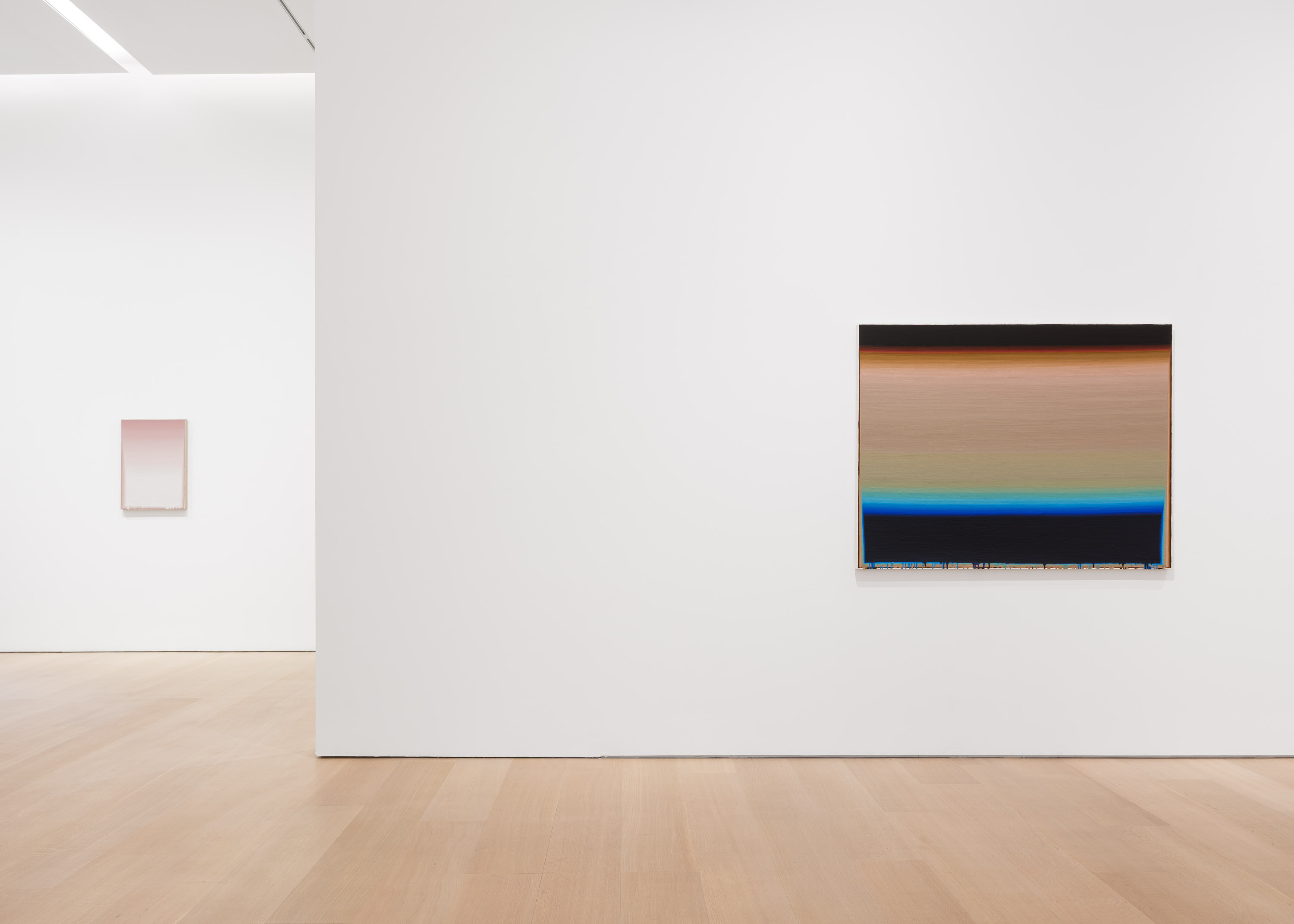 Wang Guangle, Delayed Gravity at Pace Gallery, photo 18