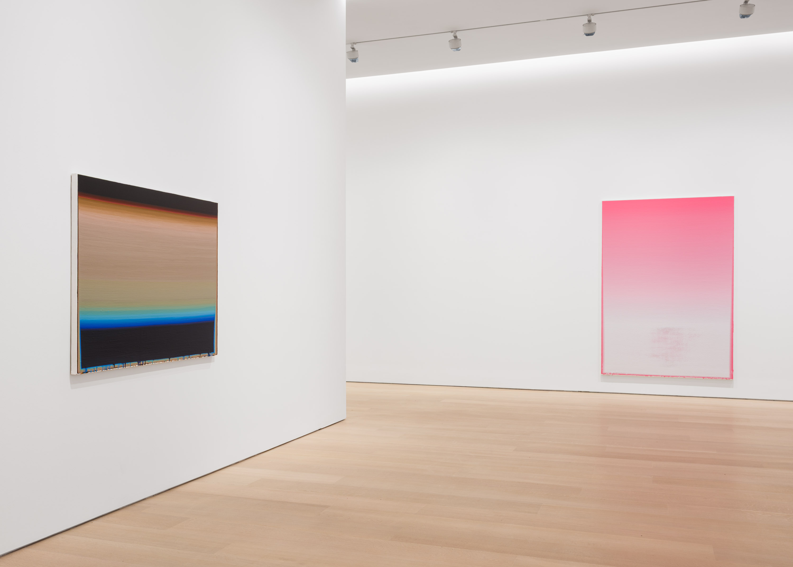 Wang Guangle, Delayed Gravity at Pace Gallery, photo 3
