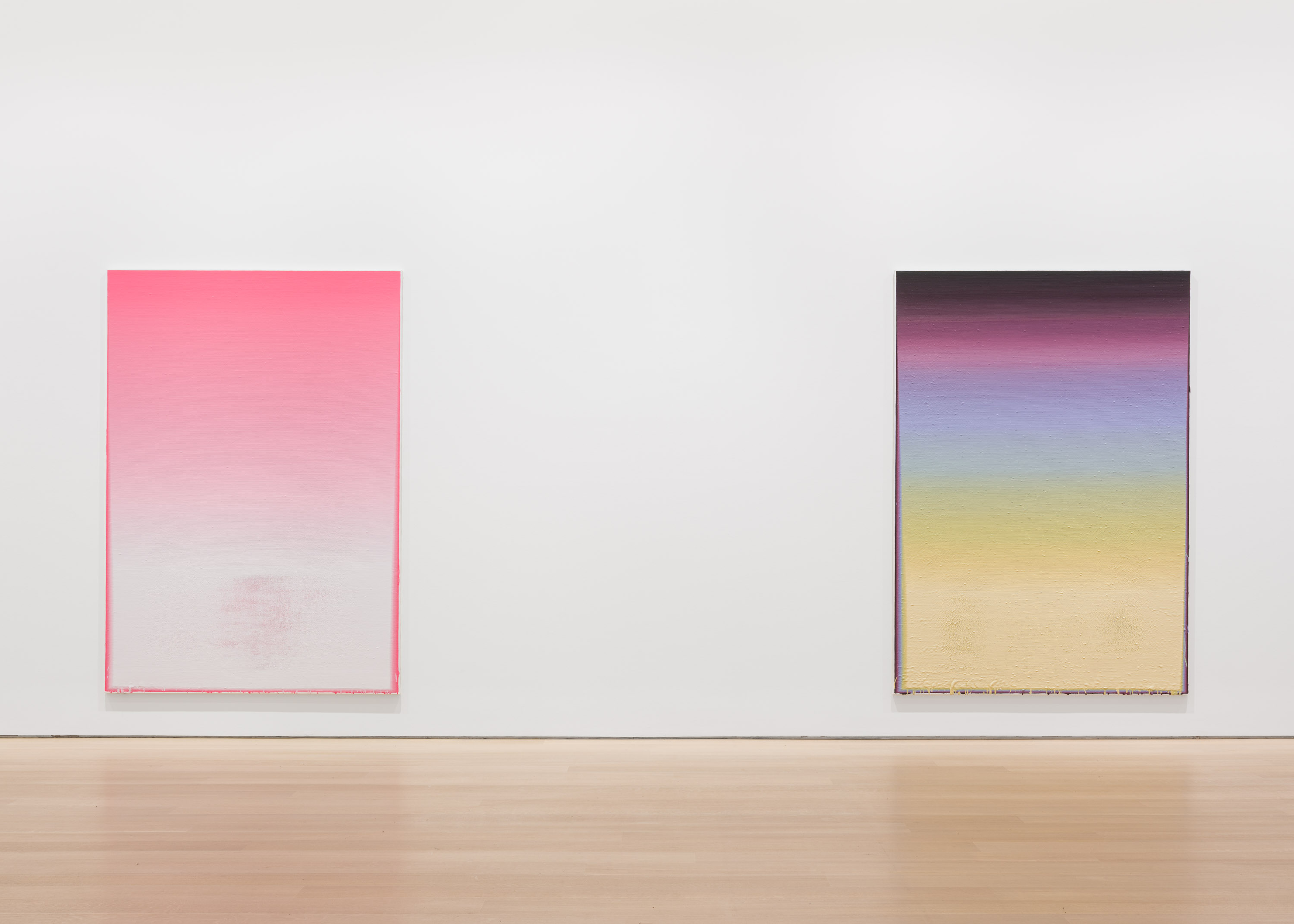 Wang Guangle, Delayed Gravity at Pace Gallery, photo 4