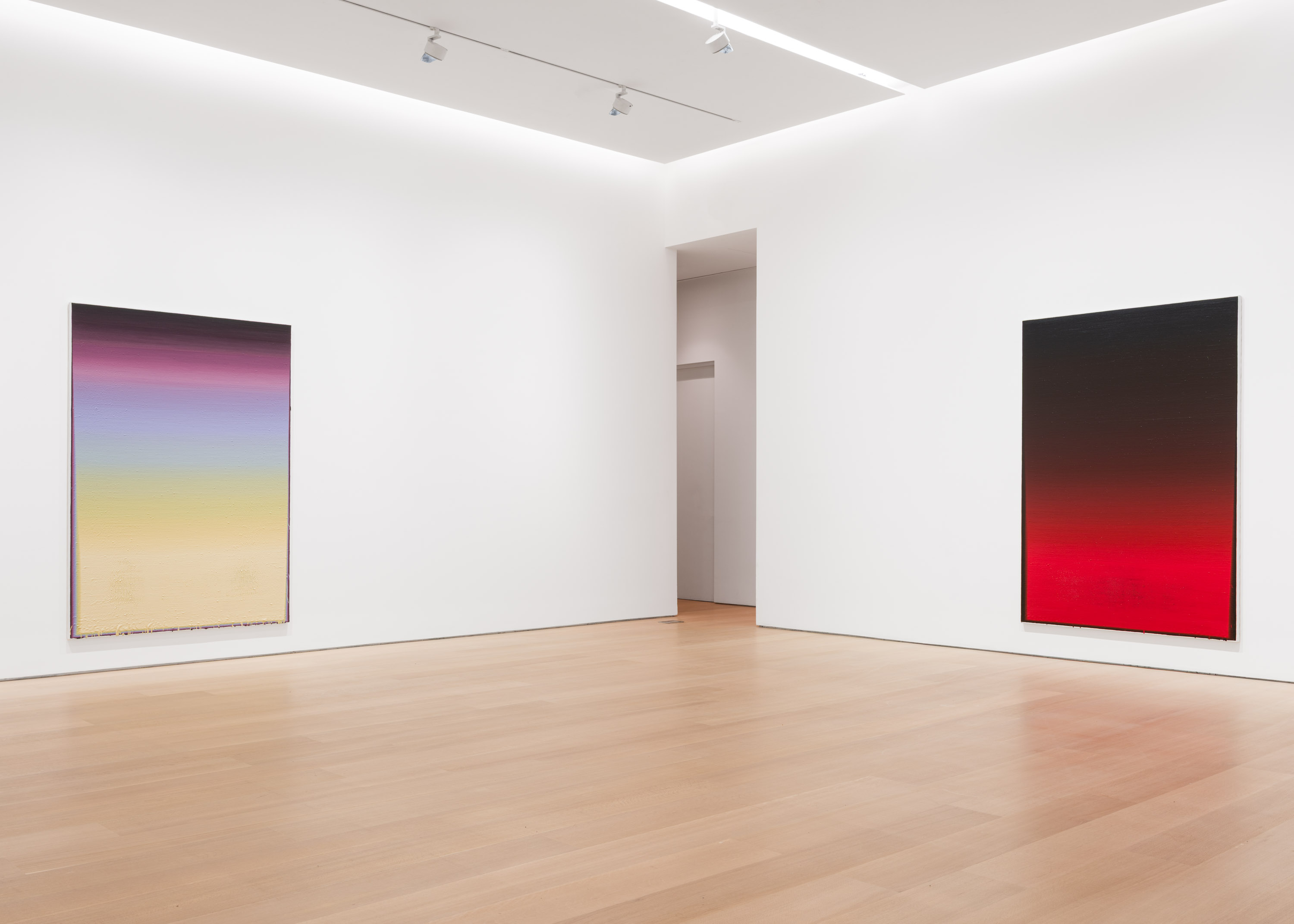 Wang Guangle, Delayed Gravity at Pace Gallery, photo 5