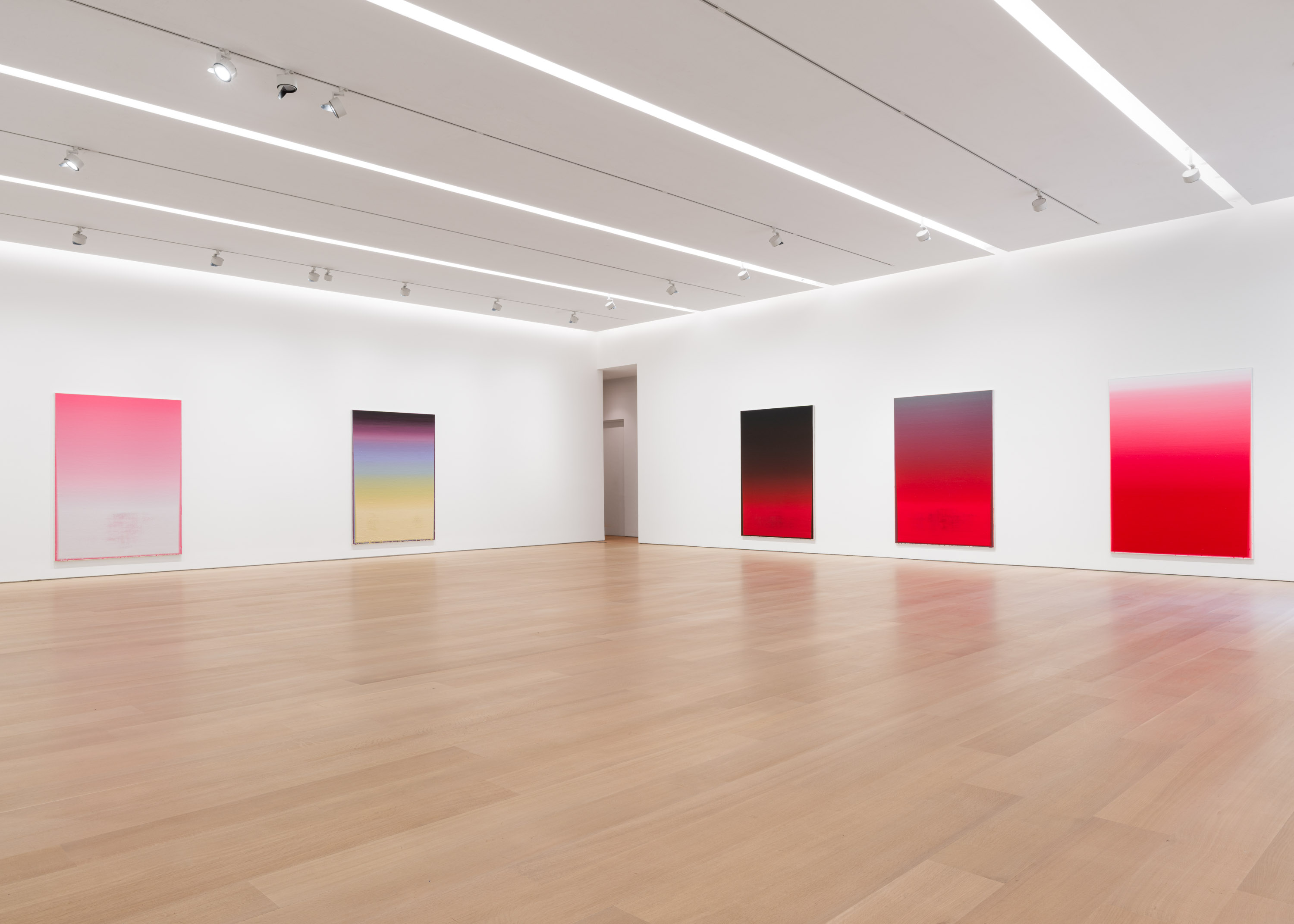 Wang Guangle, Delayed Gravity at Pace Gallery, photo 6