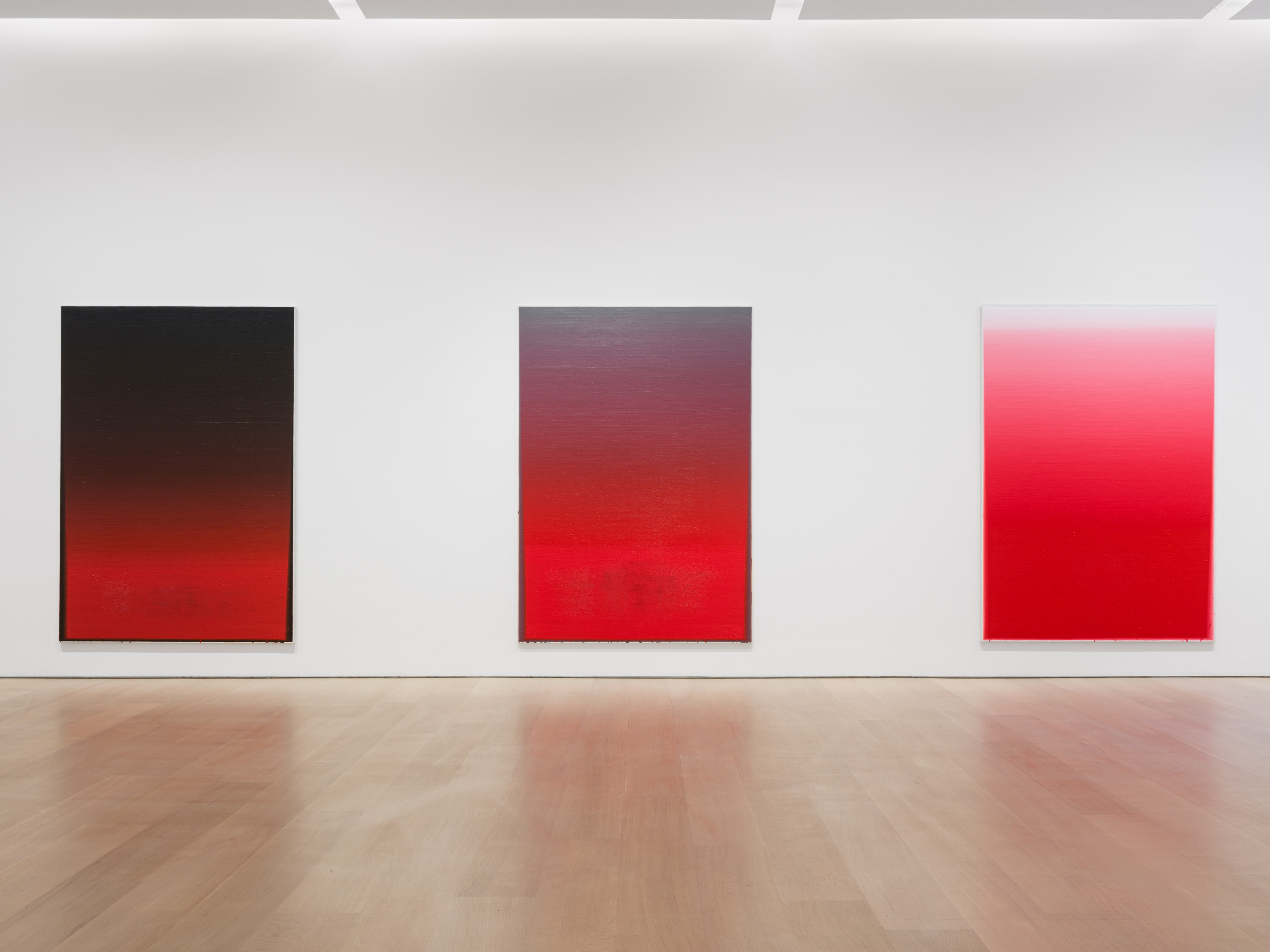 Wang Guangle, Delayed Gravity at Pace Gallery, photo 7