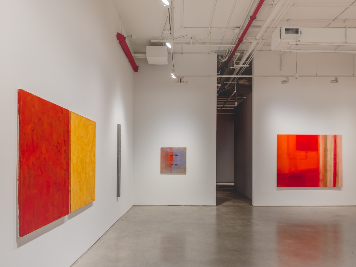 Sérgio Sister & Karin Lambrecht, Color Climax at Nara Roesler, photo 5