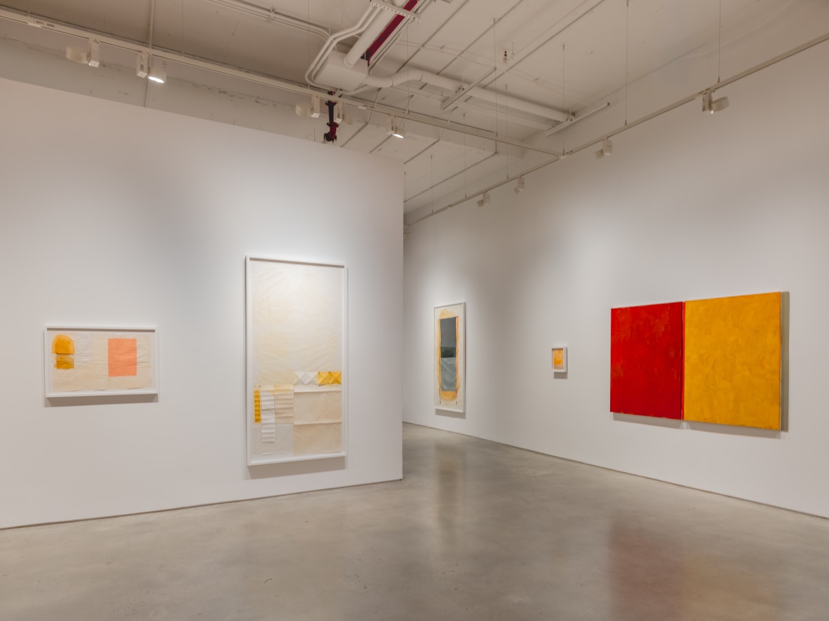 Sérgio Sister & Karin Lambrecht, Color Climax at Nara Roesler, photo 6