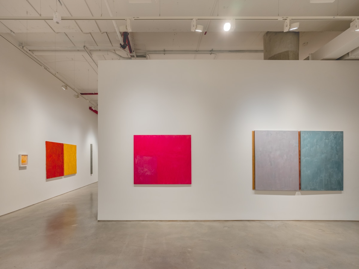 Sérgio Sister & Karin Lambrecht, Color Climax at Nara Roesler, photo 7
